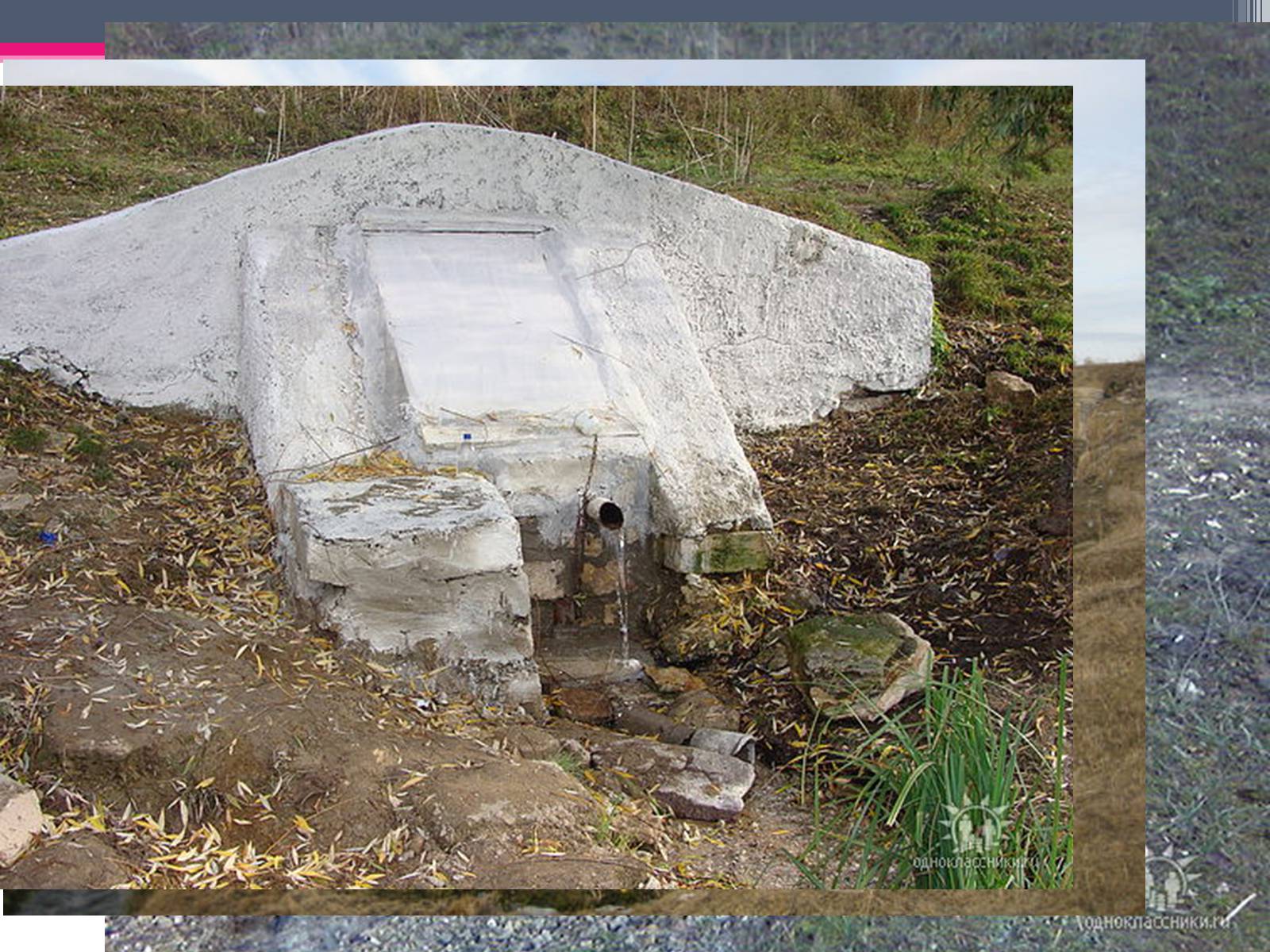 Презентація на тему «Environmental problems» (варіант 2) - Слайд #5 Презентація на тему «Environmental problems» (варіант 2) - Слайд #5