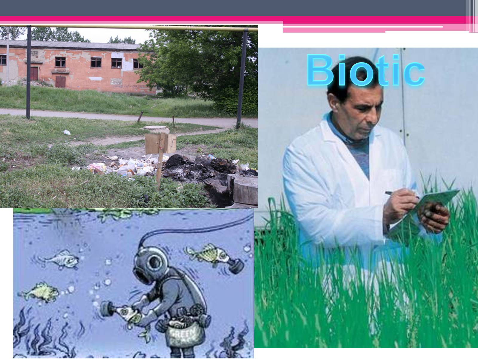 Презентація на тему «Environmental problems» (варіант 2) - Слайд #8 Презентація на тему «Environmental problems» (варіант 2) - Слайд #8