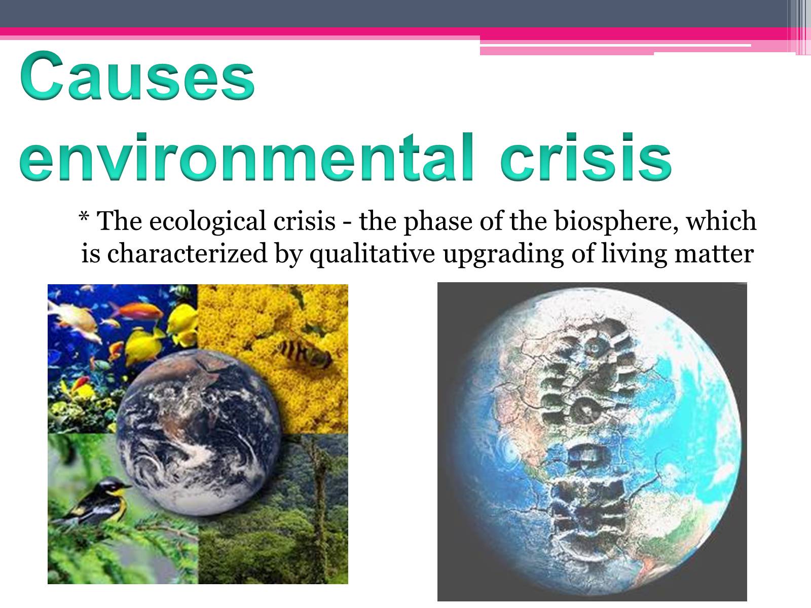 Презентація на тему «Environmental problems» (варіант 2) - Слайд #9 Презентація на тему «Environmental problems» (варіант 2) - Слайд #9