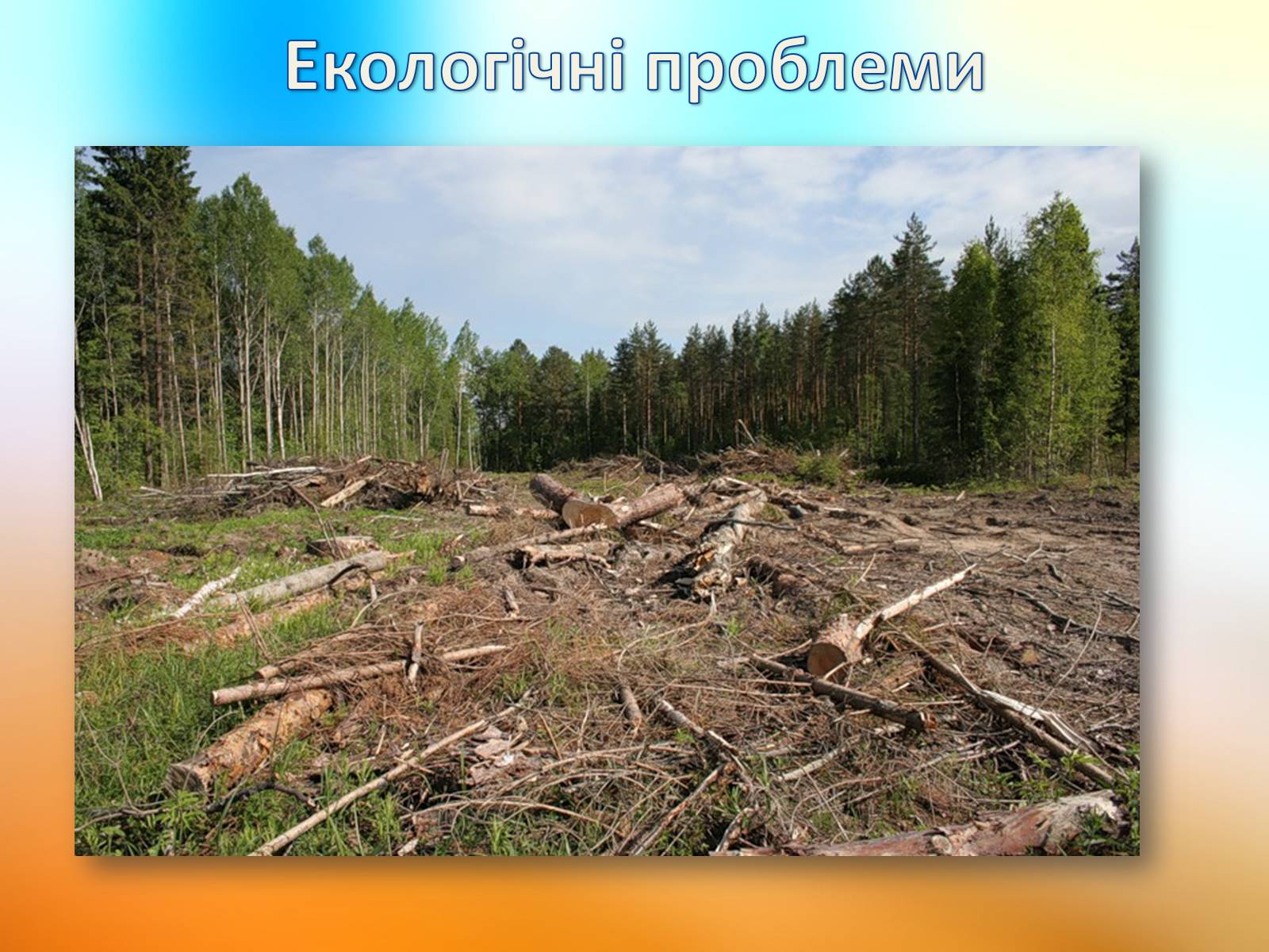 Презентація на тему «Екологічні і техногенні проблеми в перетворювальній діяльності людини» - Слайд #4 Презентація на тему «Екологічні і техногенні проблеми в перетворювальній діяльності людини» - Слайд #4