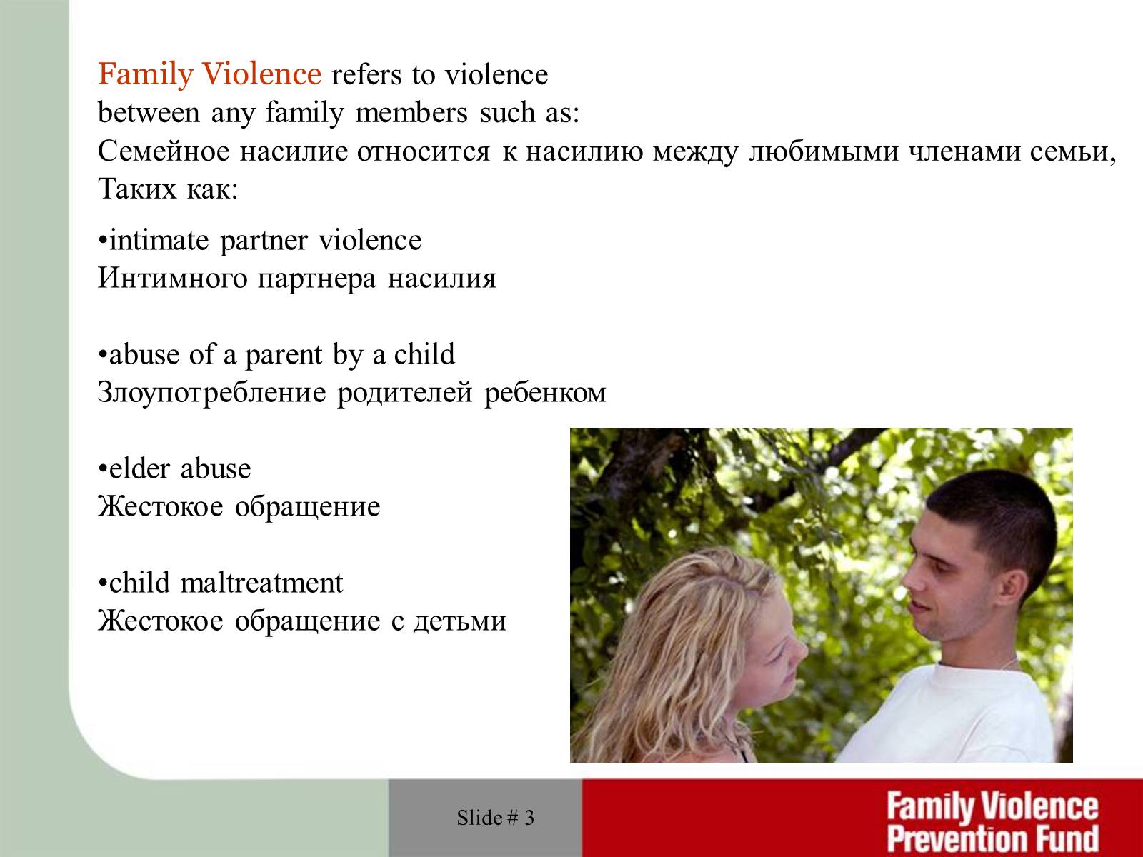 Презентація на тему «Domestic and child violence» - Слайд #3 Презентація на тему «Domestic and child violence» - Слайд #3