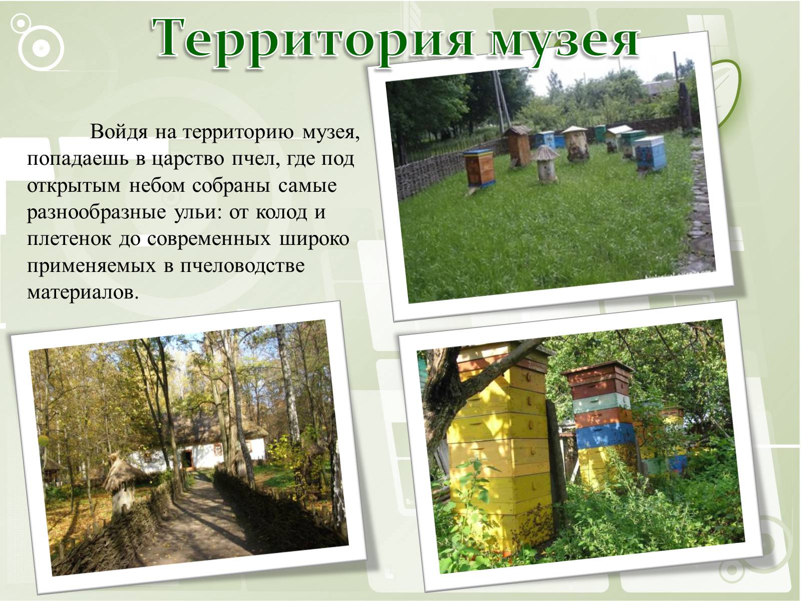 Презентація на тему «Национальный музей пчеловодства Украины» - Слайд #10 Презентація на тему «Национальный музей пчеловодства Украины» - Слайд #10