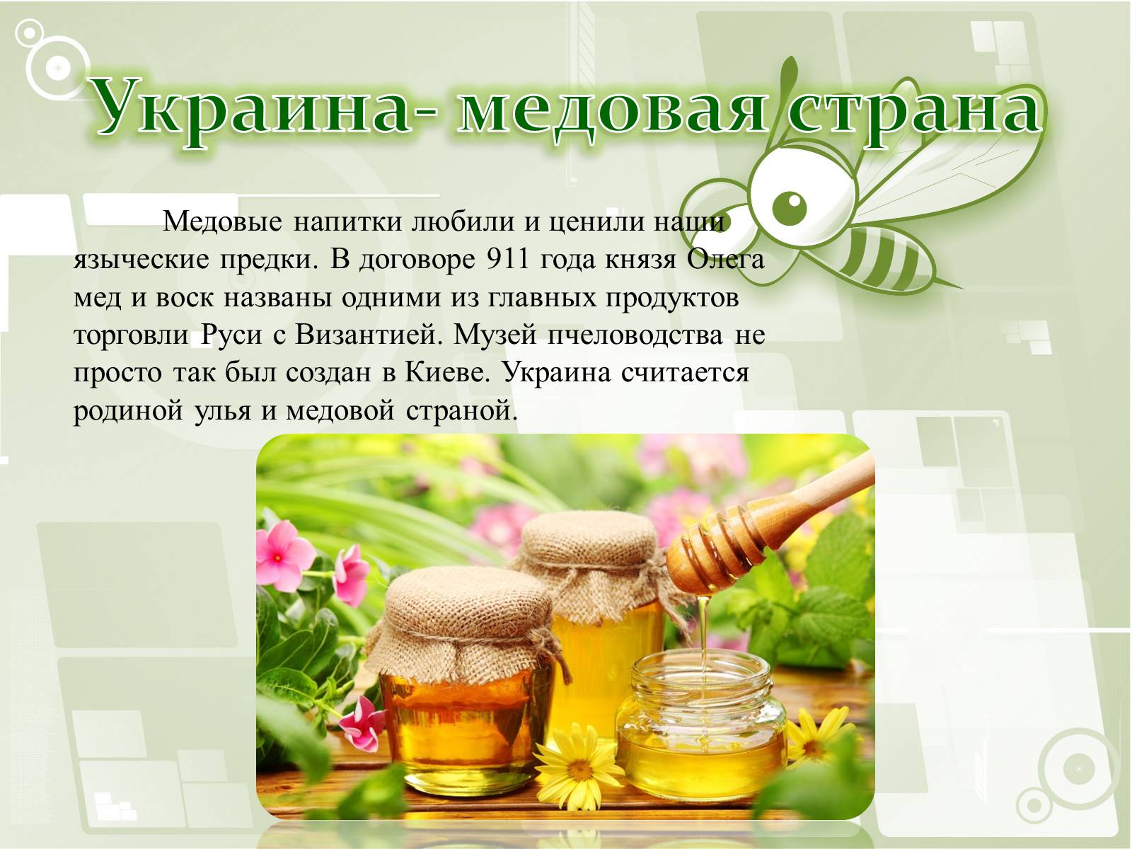 Презентація на тему «Национальный музей пчеловодства Украины» - Слайд #4 Презентація на тему «Национальный музей пчеловодства Украины» - Слайд #4