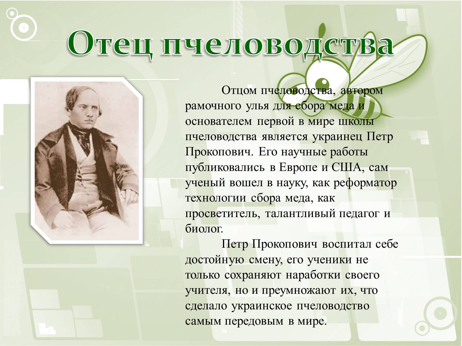 Презентація на тему «Национальный музей пчеловодства Украины» - Слайд #5 Презентація на тему «Национальный музей пчеловодства Украины» - Слайд #5