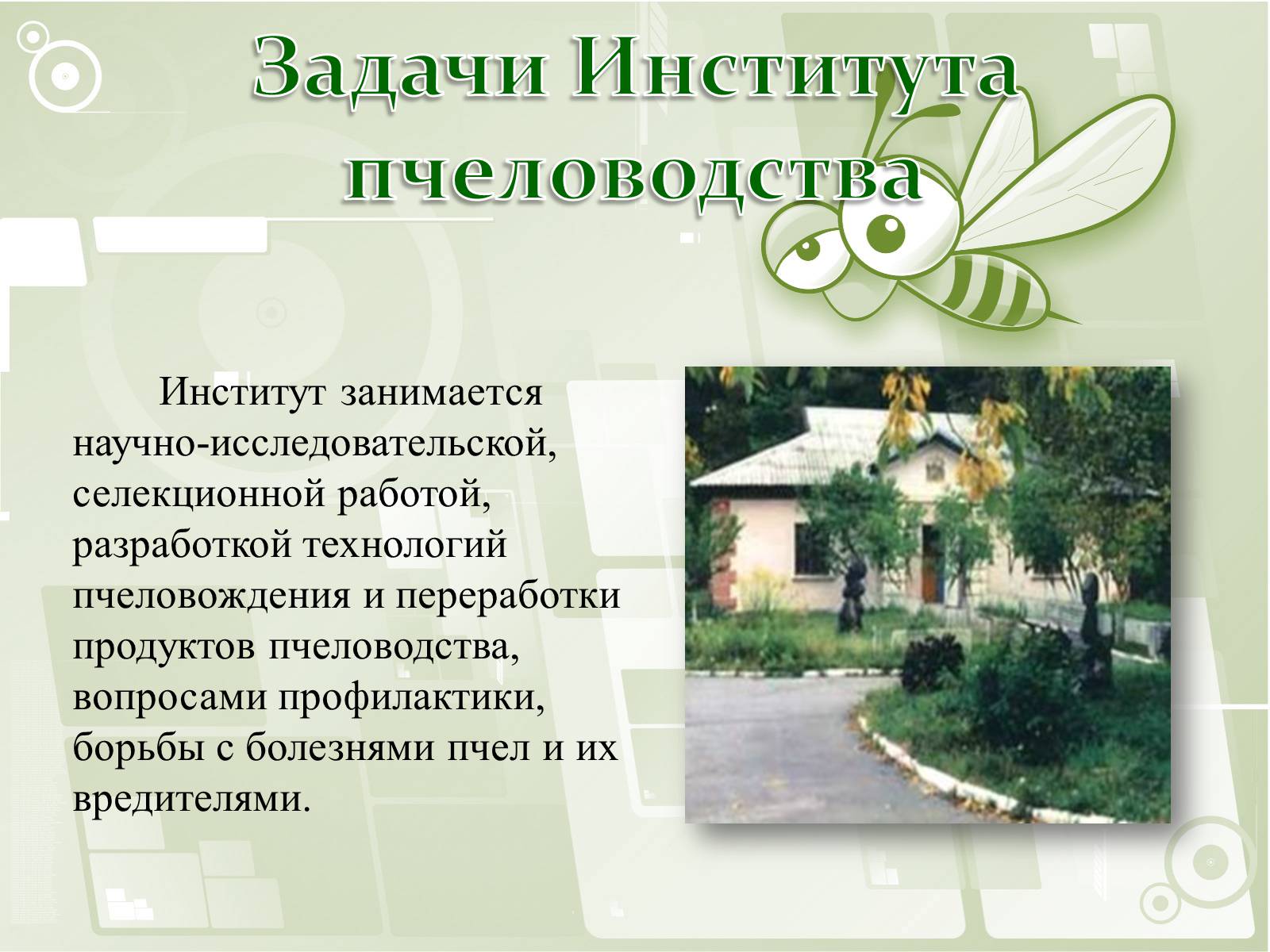 Презентація на тему «Национальный музей пчеловодства Украины» - Слайд #7 Презентація на тему «Национальный музей пчеловодства Украины» - Слайд #7