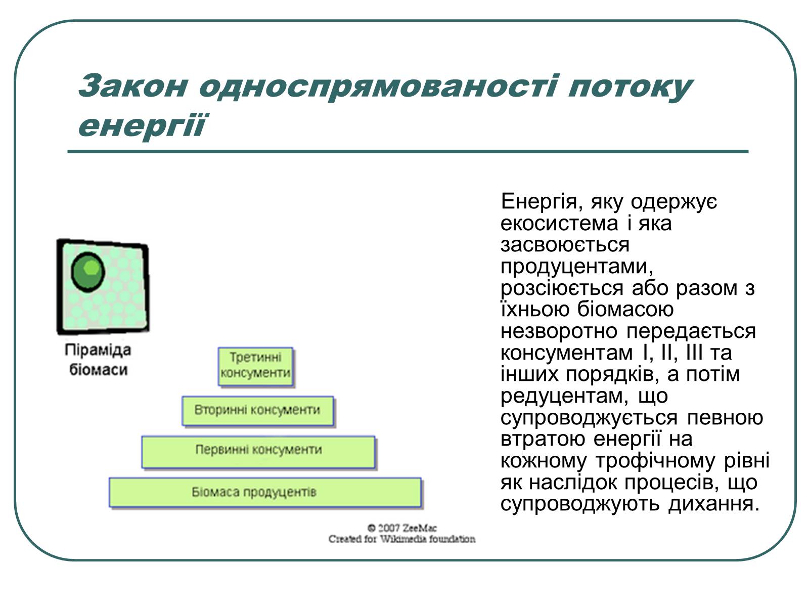 Презентація на тему «Основні екологічні закони» - Слайд #19 Презентація на тему «Основні екологічні закони» - Слайд #19