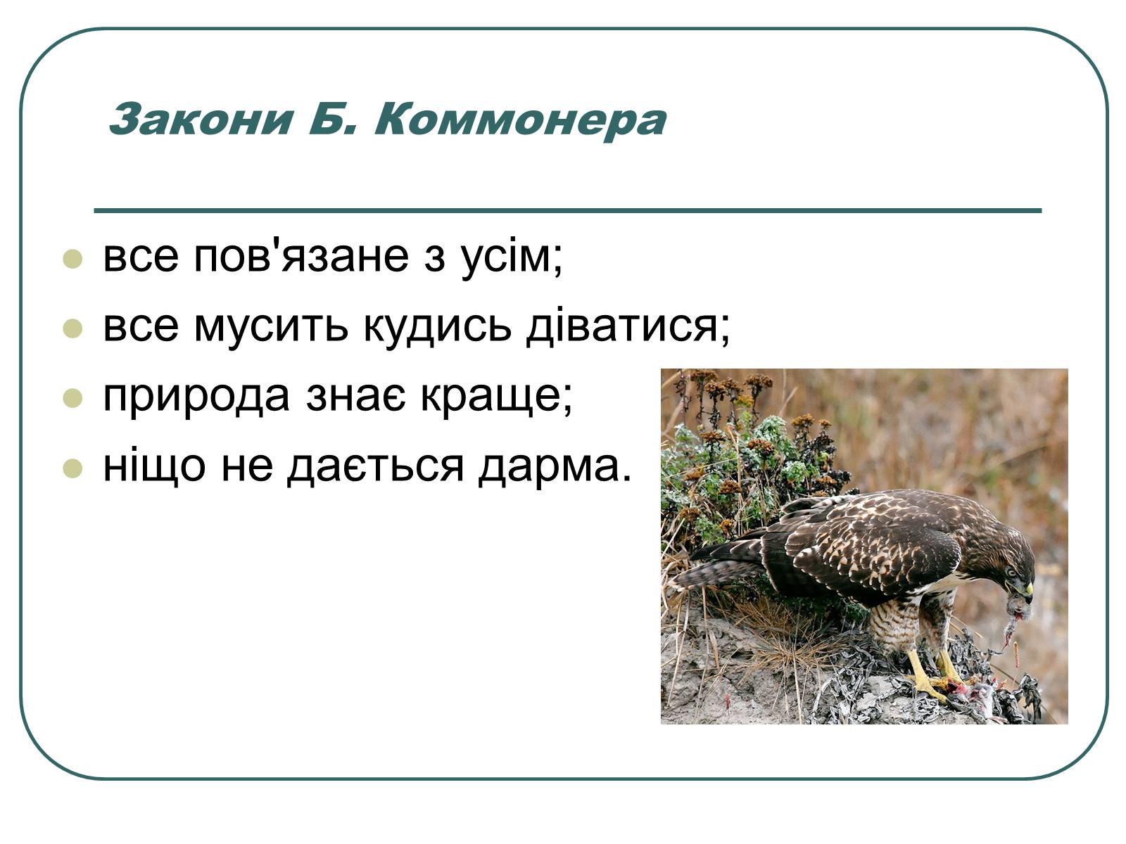 Презентація на тему «Основні екологічні закони» - Слайд #24 Презентація на тему «Основні екологічні закони» - Слайд #24