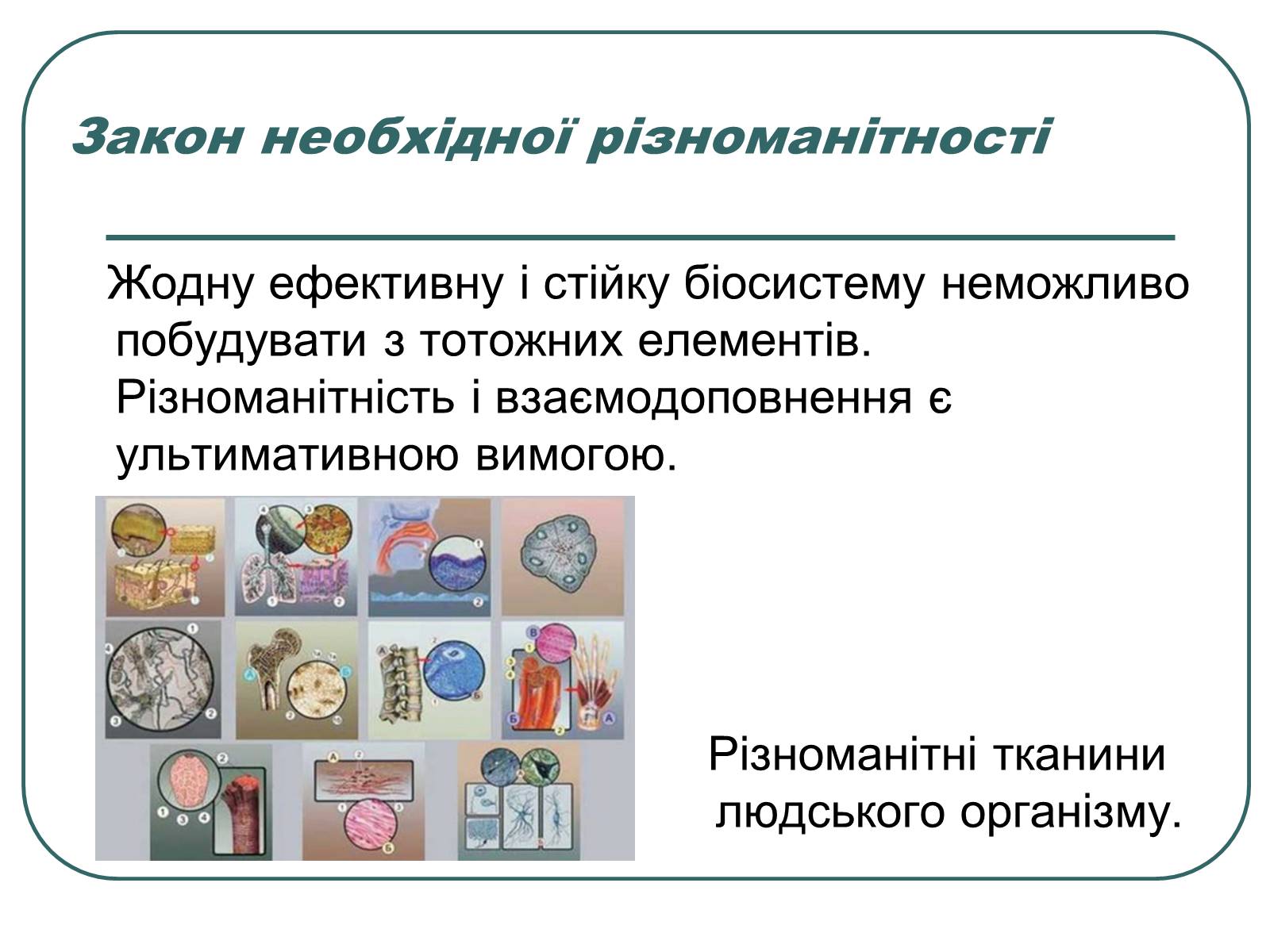 Презентація на тему «Основні екологічні закони» - Слайд #27 Презентація на тему «Основні екологічні закони» - Слайд #27
