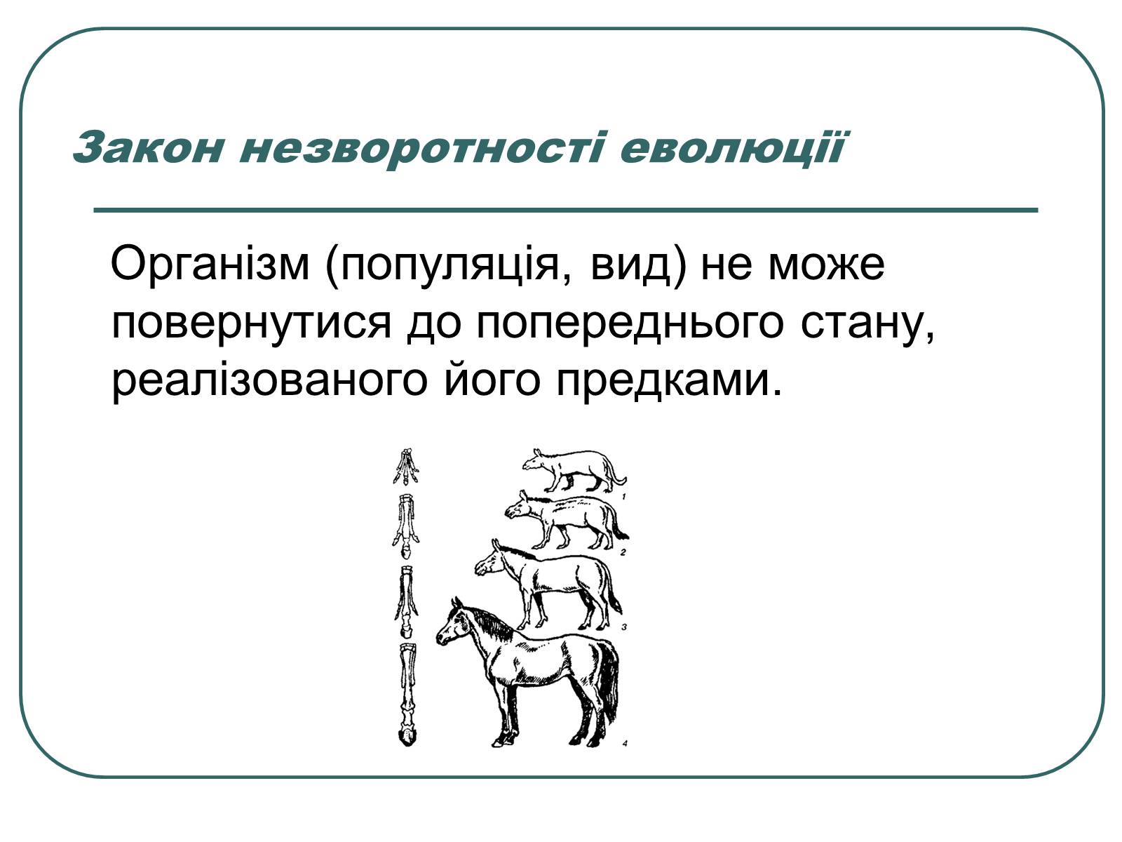 Презентація на тему «Основні екологічні закони» - Слайд #28 Презентація на тему «Основні екологічні закони» - Слайд #28