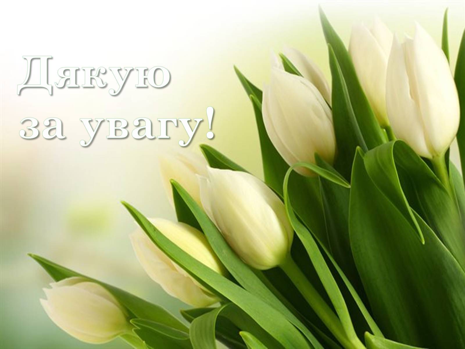 Презентація на тему «Англійський сад» (варіант 2) - Слайд #20 Презентація на тему «Англійський сад» (варіант 2) - Слайд #20