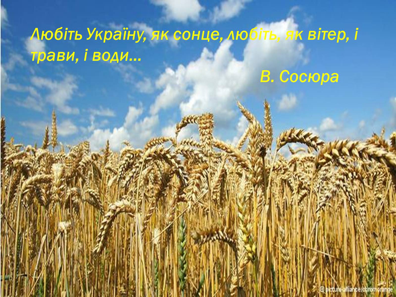 Презентація на тему «Ми любимо Україну!» - Слайд #24 Презентація на тему «Ми любимо Україну!» - Слайд #24