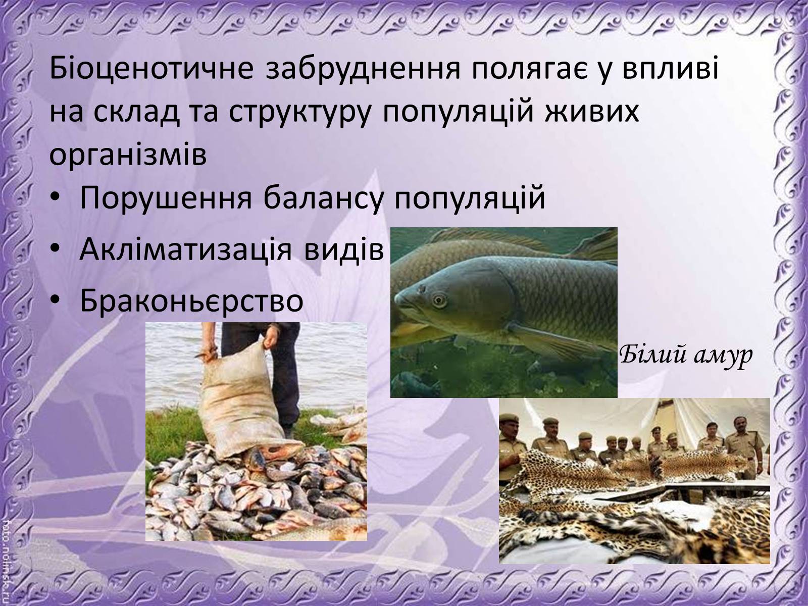 Презентація на тему «Основні антропогенні джерела забруднення навколишнього середовища» (варіант 1) - Слайд #8