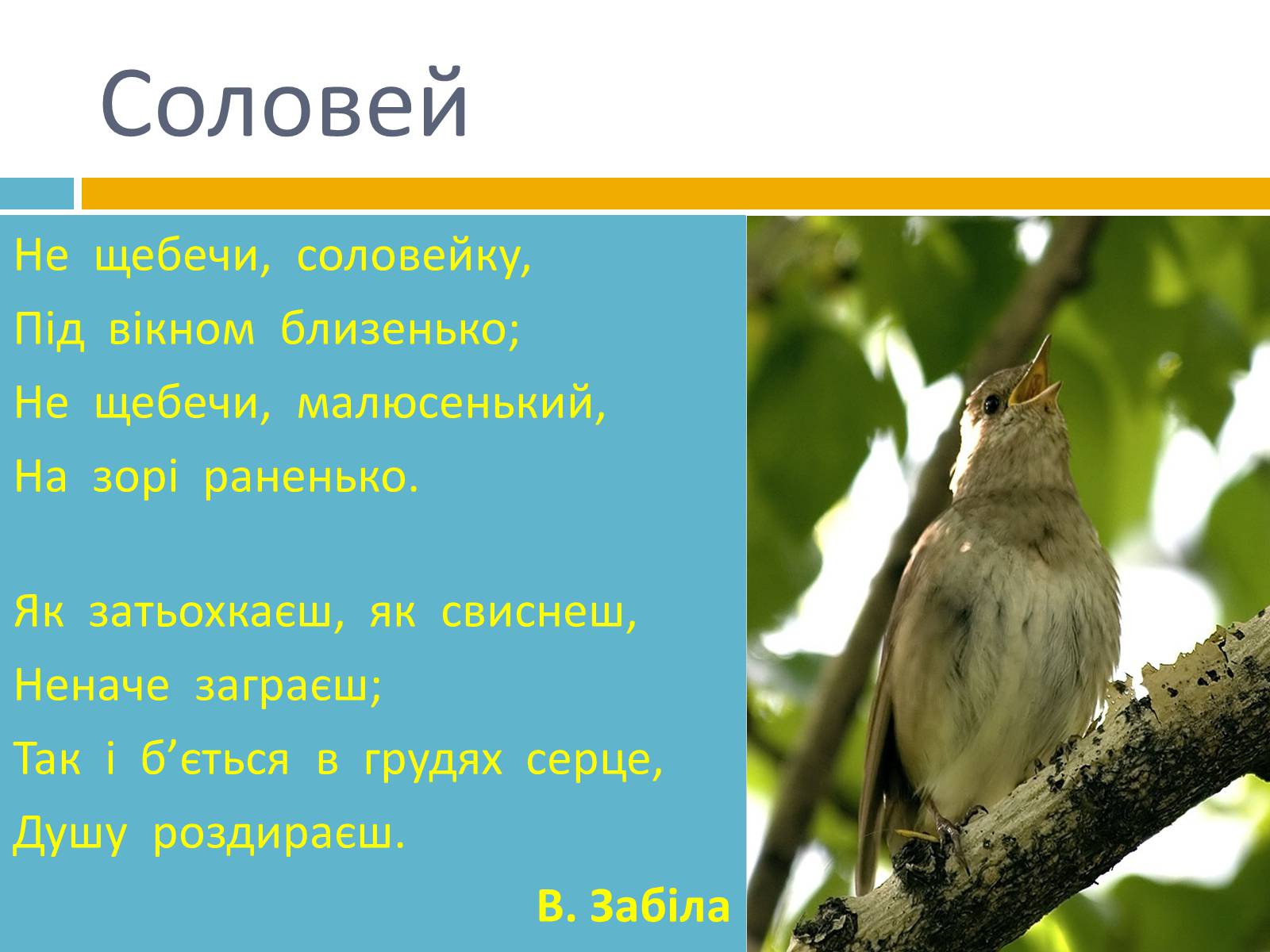 Презентація на тему «Українська символіка» - Слайд #17 Презентація на тему «Українська символіка» - Слайд #17