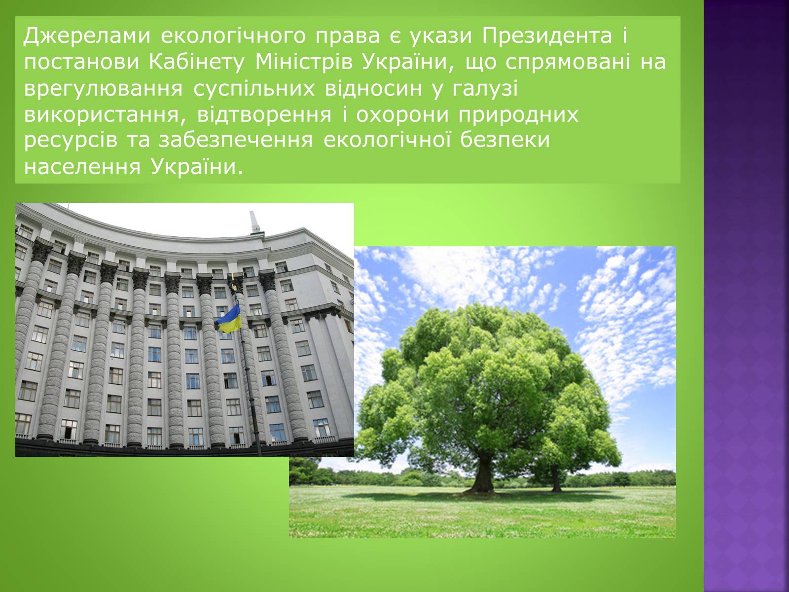 Презентація на тему «Екологічне право» - Слайд #10 Презентація на тему «Екологічне право» - Слайд #10