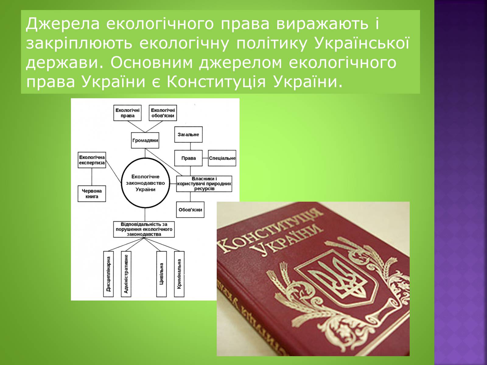 Презентація на тему «Екологічне право» - Слайд #3 Презентація на тему «Екологічне право» - Слайд #3