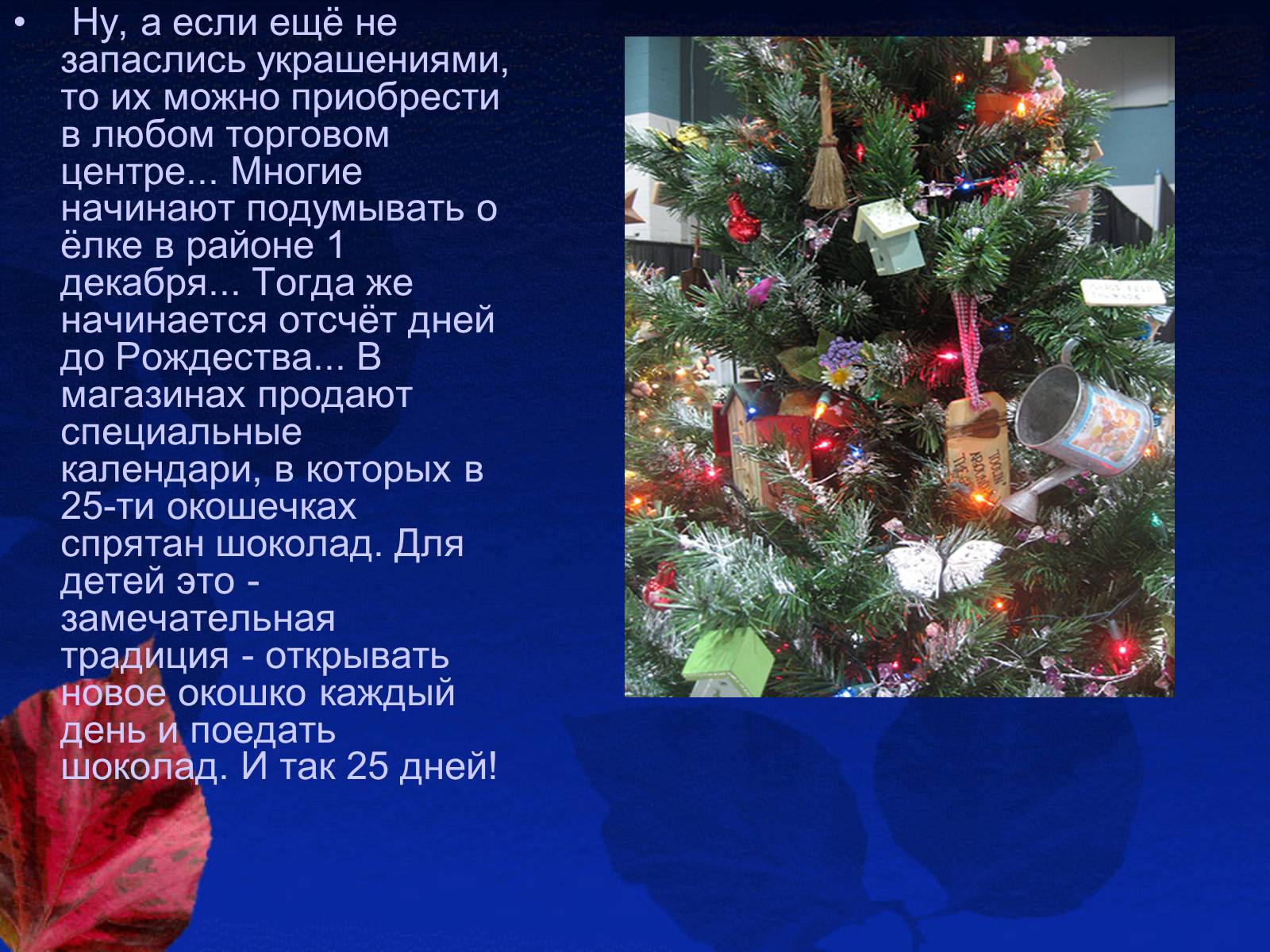 Презентація на тему «Рождество в Австралии» - Слайд #11 Презентація на тему «Рождество в Австралии» - Слайд #11