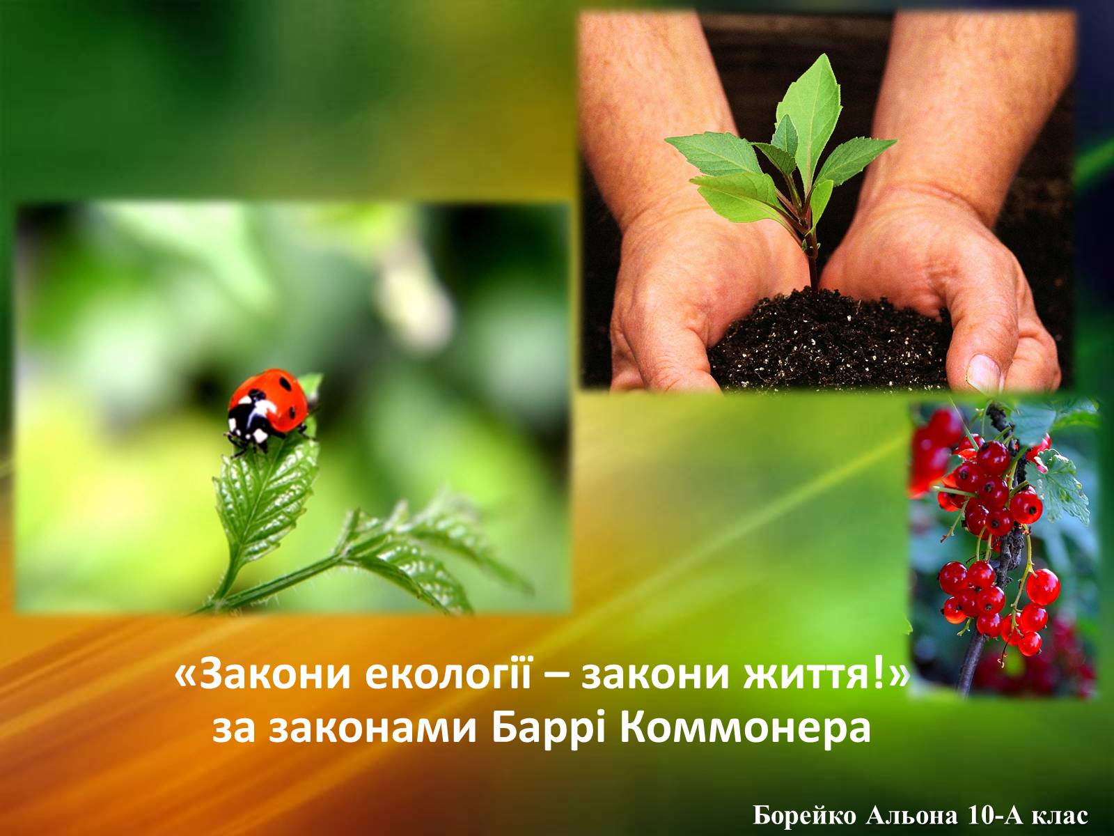 Презентація на тему «Закони екології – закони життя» - Слайд #1 Презентація на тему «Закони екології – закони життя» - Слайд #1