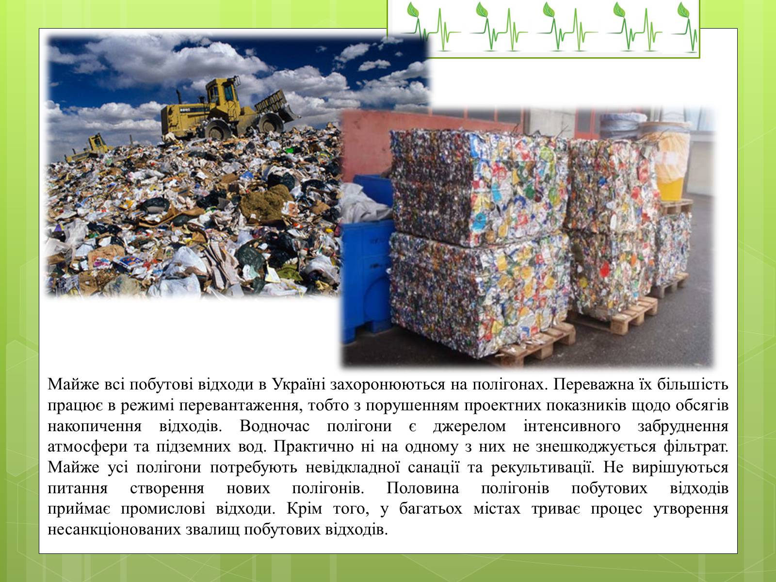 Презентація на тему «Закони екології – закони життя» - Слайд #11 Презентація на тему «Закони екології – закони життя» - Слайд #11