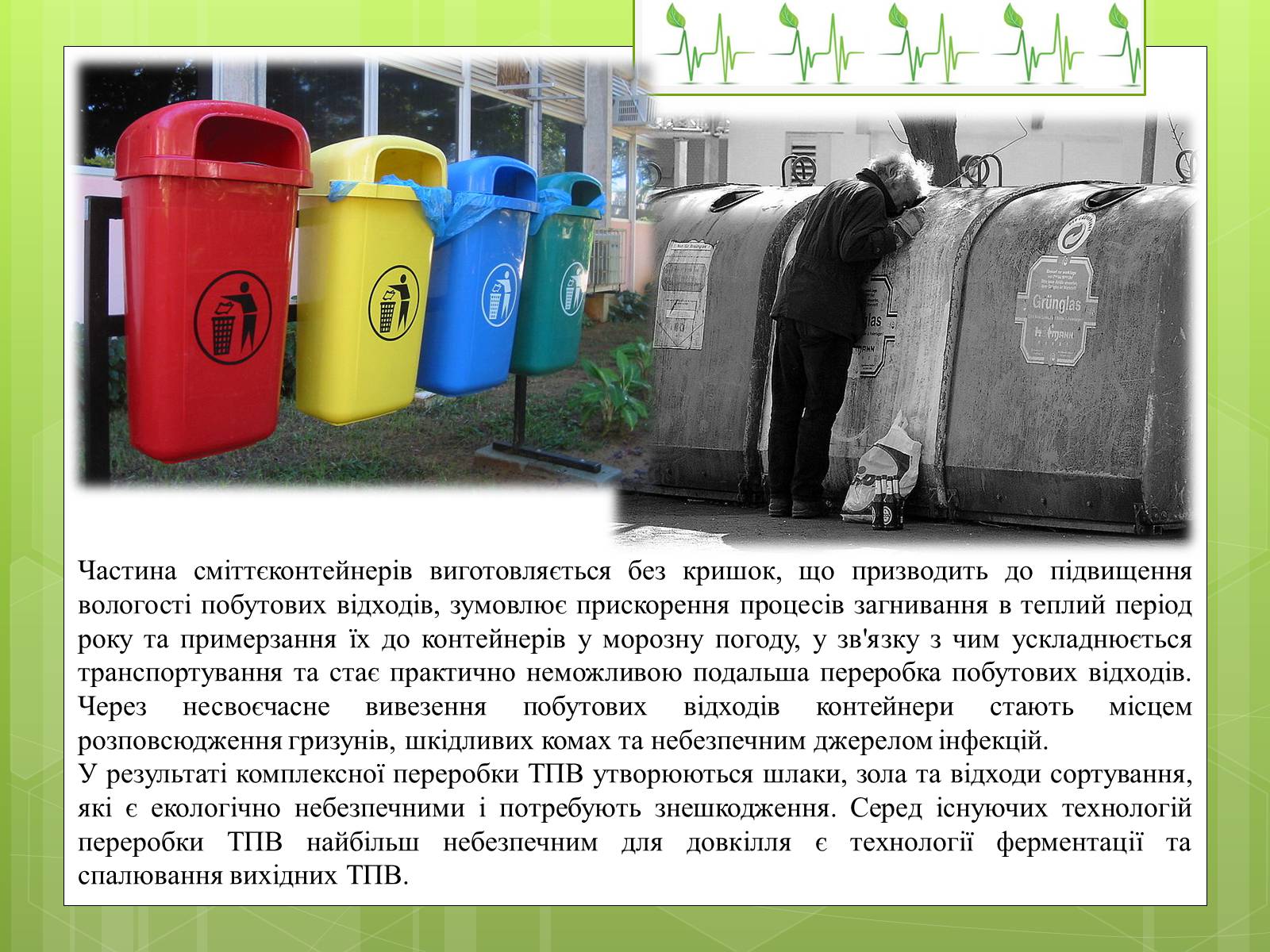 Презентація на тему «Закони екології – закони життя» - Слайд #12 Презентація на тему «Закони екології – закони життя» - Слайд #12