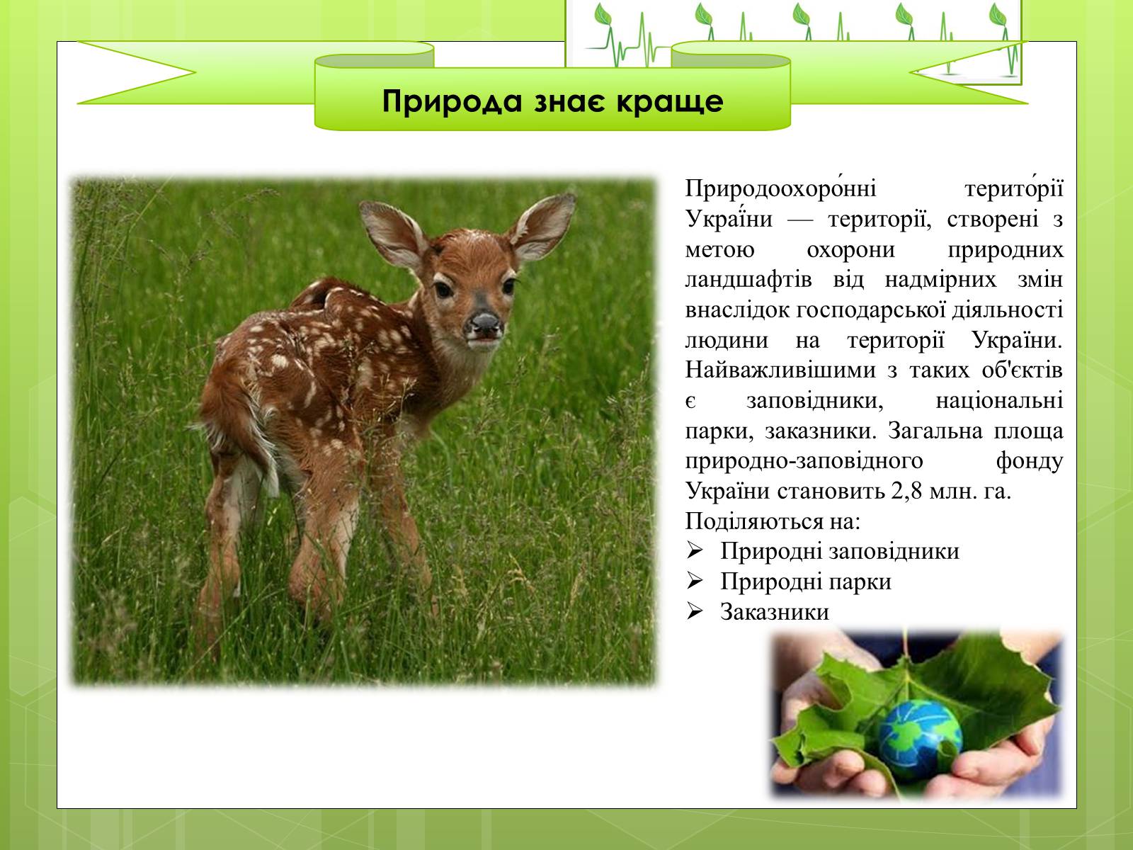 Презентація на тему «Закони екології – закони життя» - Слайд #18 Презентація на тему «Закони екології – закони життя» - Слайд #18
