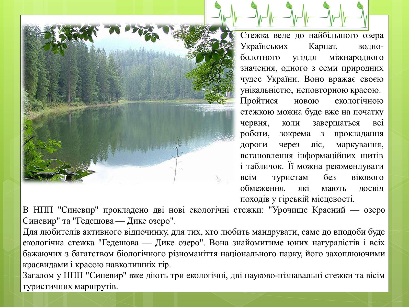Презентація на тему «Закони екології – закони життя» - Слайд #20 Презентація на тему «Закони екології – закони життя» - Слайд #20