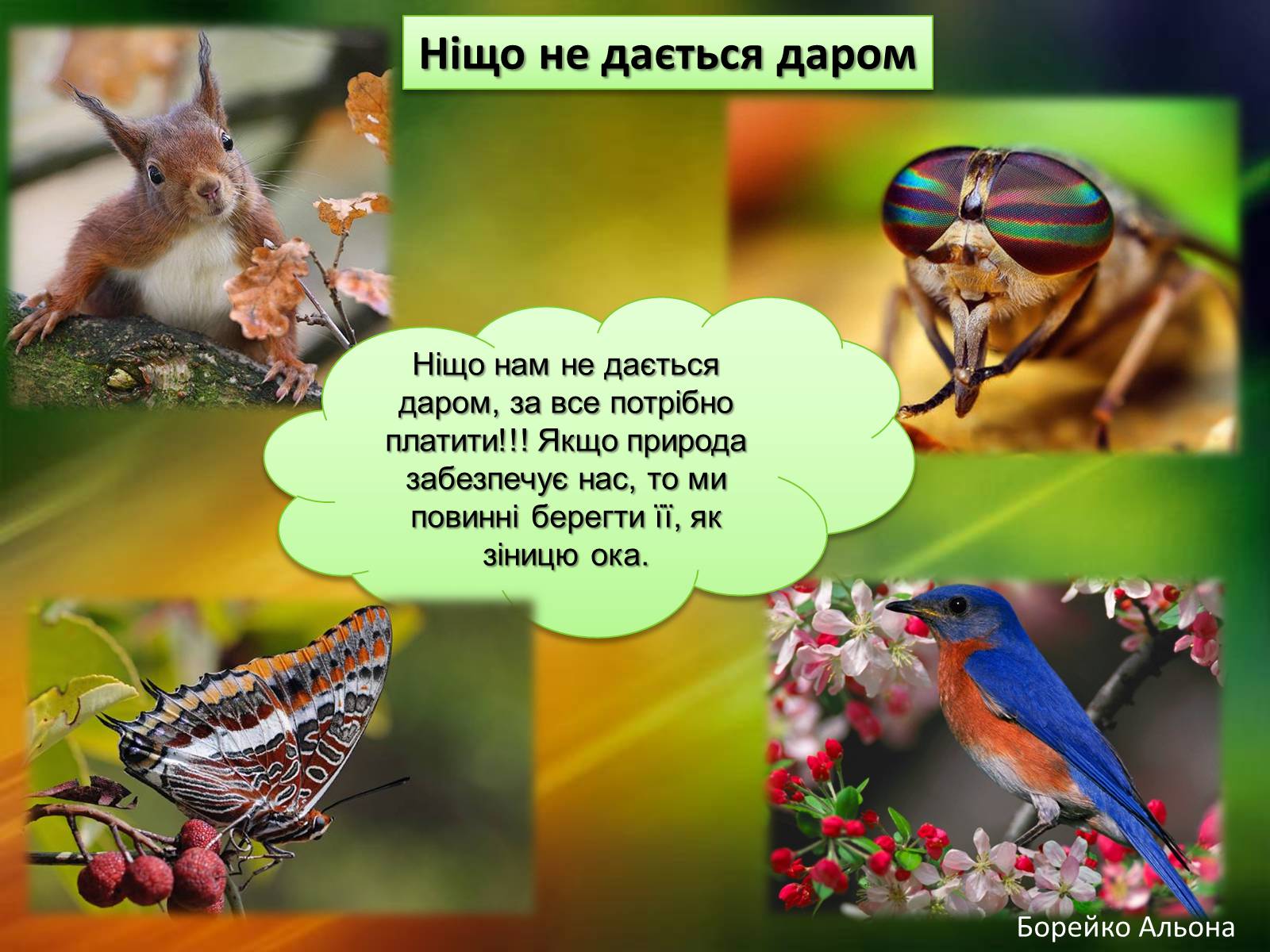 Презентація на тему «Закони екології – закони життя» - Слайд #21 Презентація на тему «Закони екології – закони життя» - Слайд #21