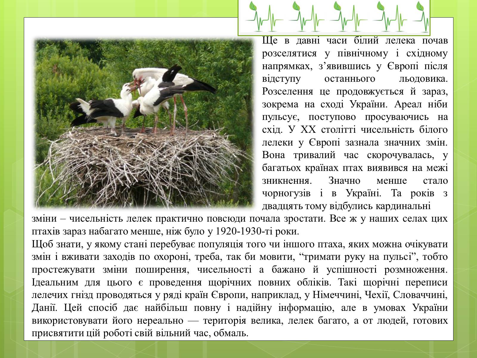 Презентація на тему «Закони екології – закони життя» - Слайд #5 Презентація на тему «Закони екології – закони життя» - Слайд #5
