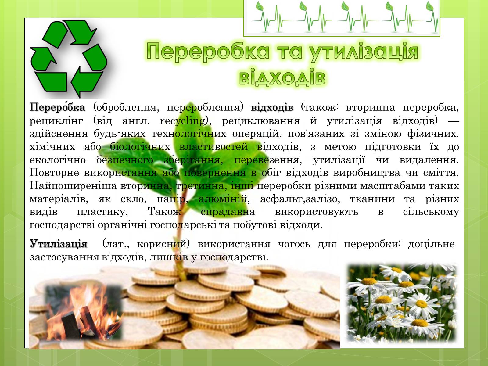 Презентація на тему «Закони екології – закони життя» - Слайд #8 Презентація на тему «Закони екології – закони життя» - Слайд #8