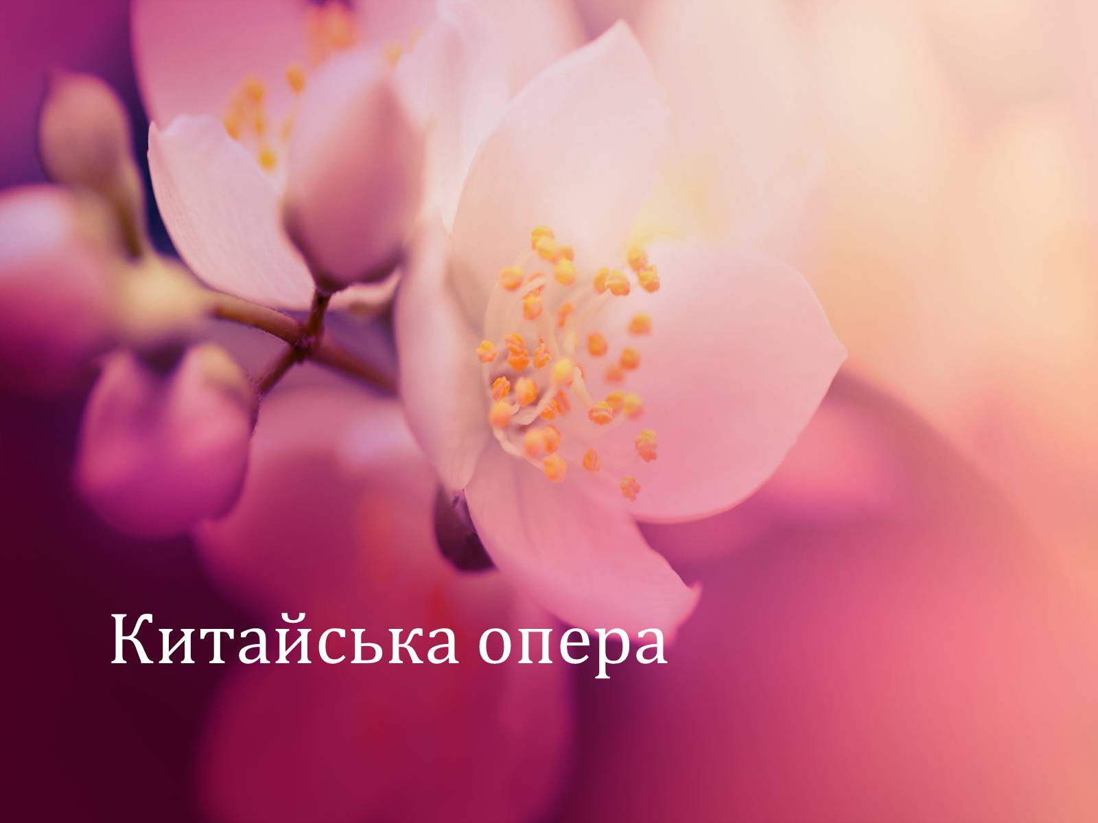 Презентація на тему «Китайська опера» (варіант 2) - Слайд #1 Презентація на тему «Китайська опера» (варіант 2) - Слайд #1