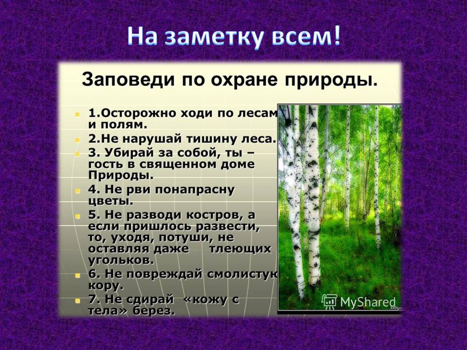 Презентація на тему «Проблема сбалансированного природопользования» - Слайд #12 Презентація на тему «Проблема сбалансированного природопользования» - Слайд #12