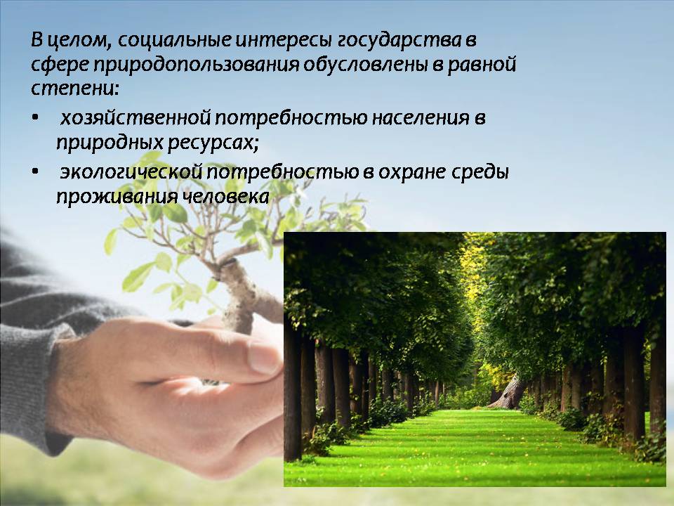 Презентація на тему «Проблема сбалансированного природопользования» - Слайд #8 Презентація на тему «Проблема сбалансированного природопользования» - Слайд #8