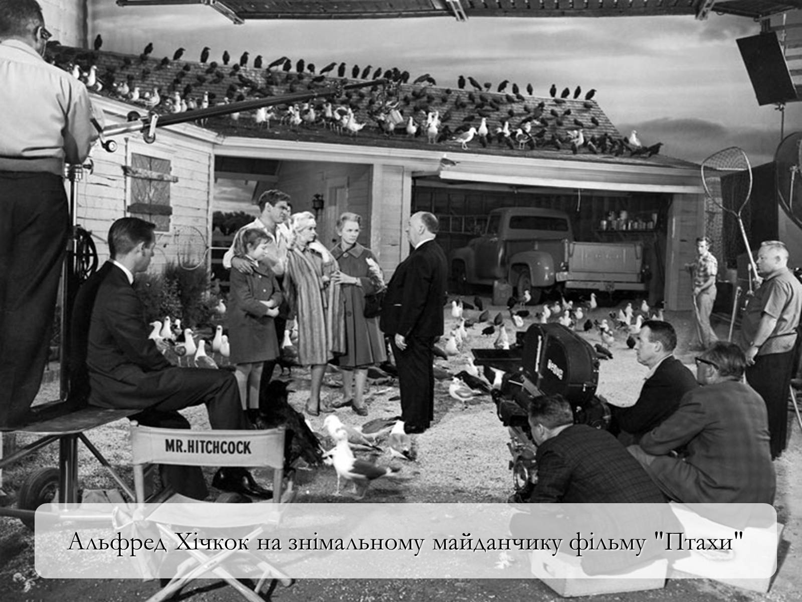 Презентація на тему «Кіно Сполучених Штатів Америки» - Слайд #17 Презентація на тему «Кіно Сполучених Штатів Америки» - Слайд #17