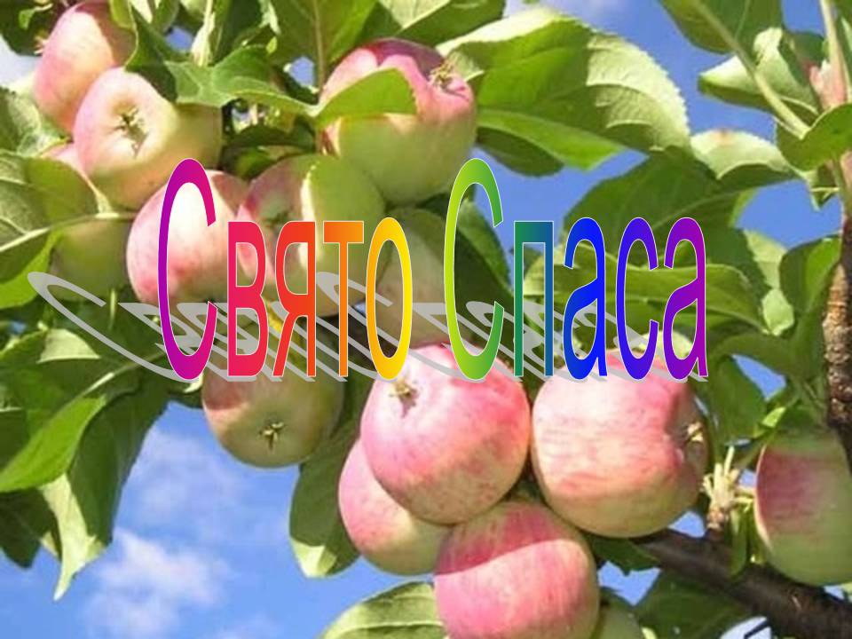 Презентація на тему «Свято Спаса» - Слайд #1 Презентація на тему «Свято Спаса» - Слайд #1
