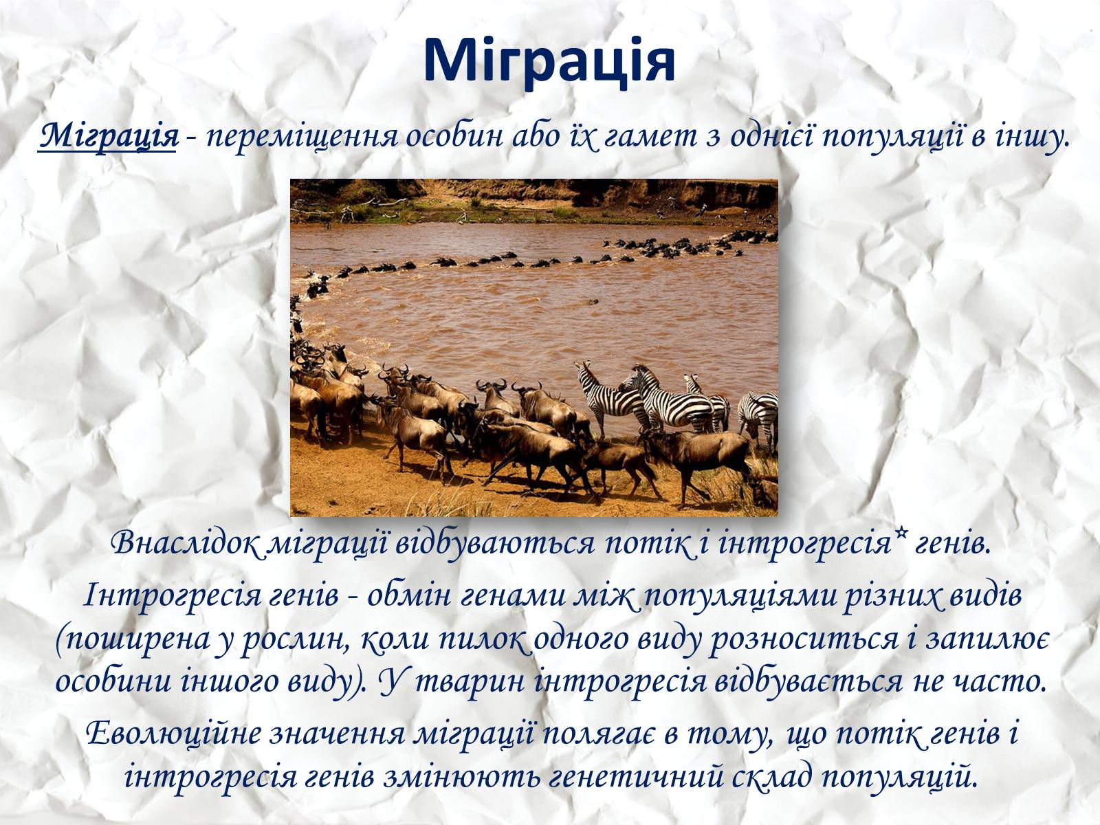 Презентація на тему «Мікроеволюція» (варіант 1) - Слайд #12 Презентація на тему «Мікроеволюція» (варіант 1) - Слайд #12