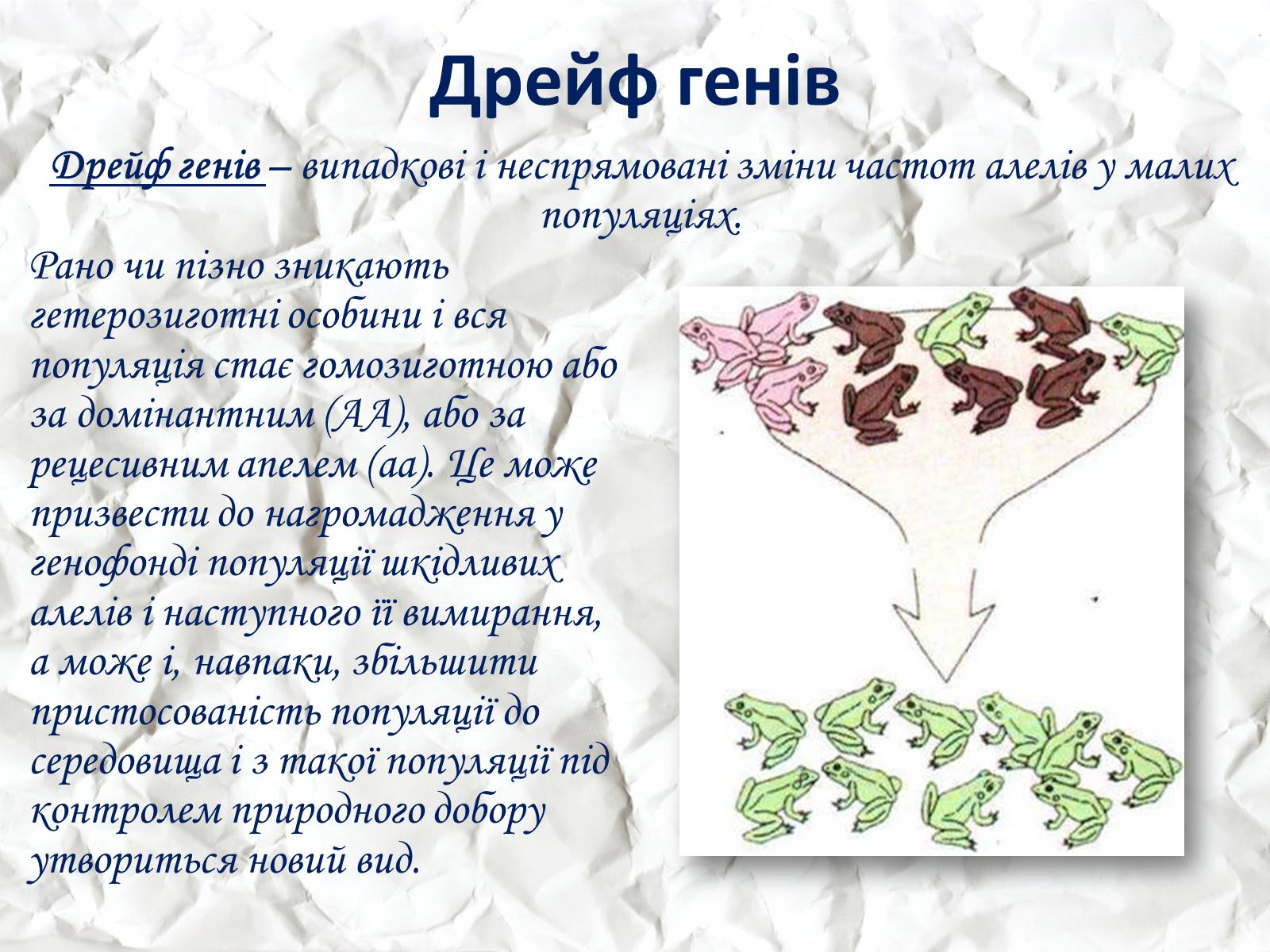 Презентація на тему «Мікроеволюція» (варіант 1) - Слайд #13 Презентація на тему «Мікроеволюція» (варіант 1) - Слайд #13