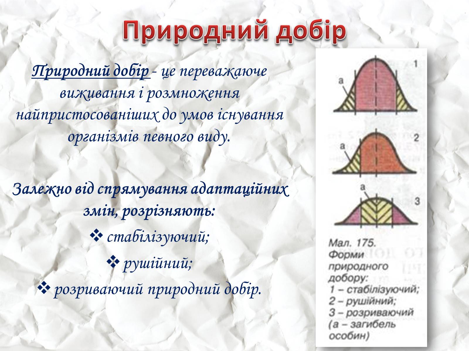 Презентація на тему «Мікроеволюція» (варіант 1) - Слайд #18 Презентація на тему «Мікроеволюція» (варіант 1) - Слайд #18