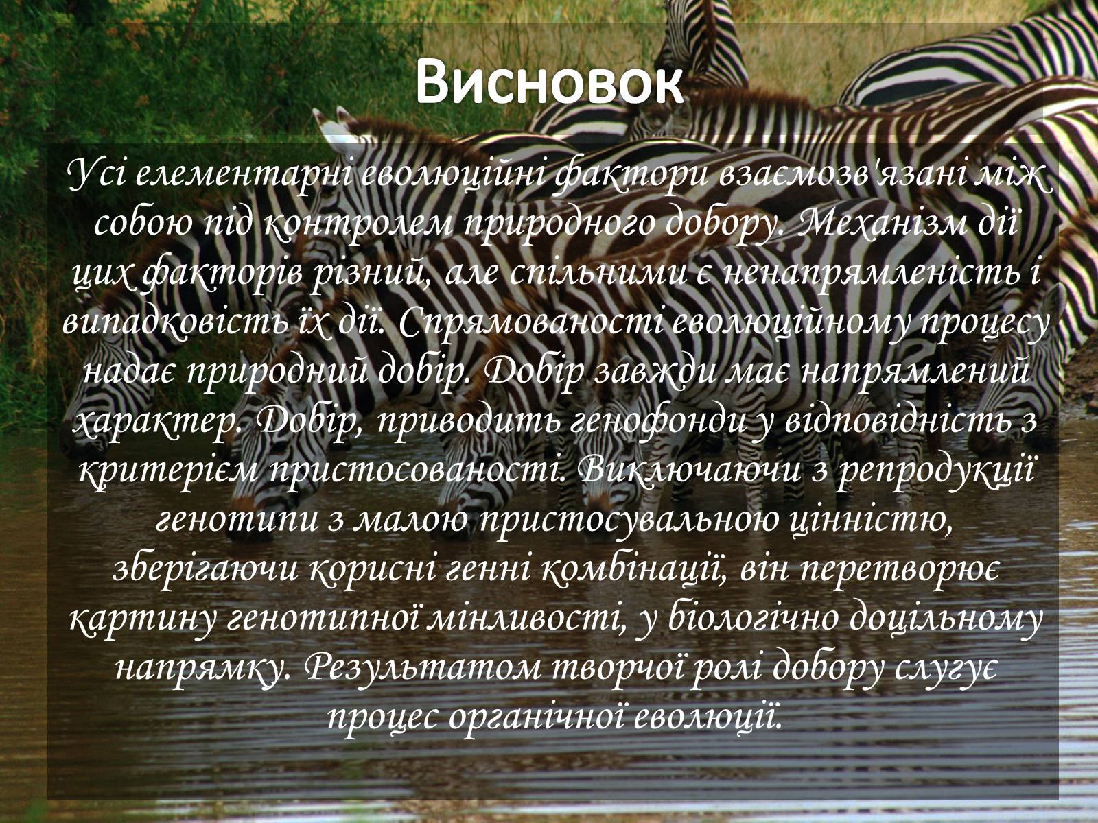 Презентація на тему «Мікроеволюція» (варіант 1) - Слайд #22 Презентація на тему «Мікроеволюція» (варіант 1) - Слайд #22