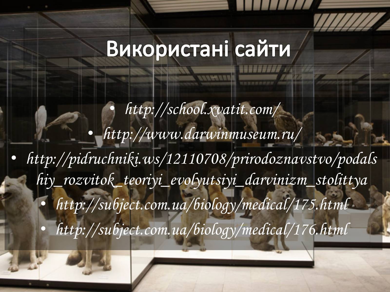 Презентація на тему «Мікроеволюція» (варіант 1) - Слайд #23 Презентація на тему «Мікроеволюція» (варіант 1) - Слайд #23
