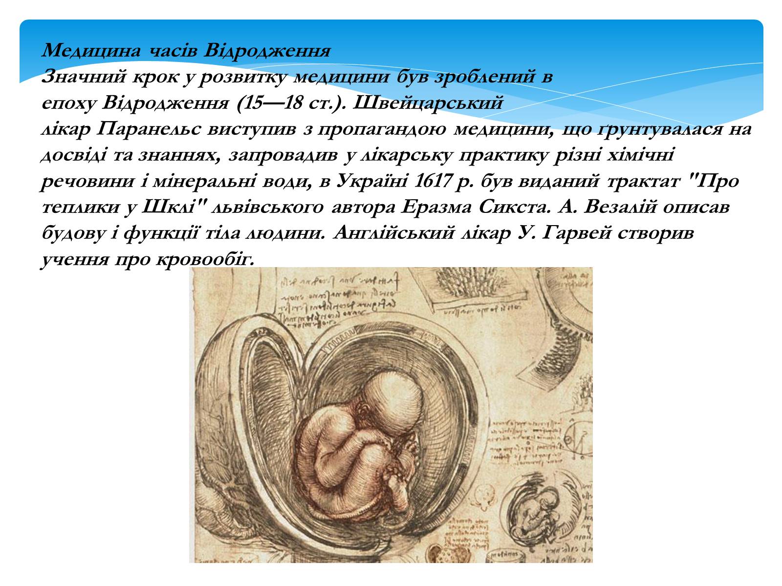 Презентація на тему «Моя майбутня професія – лікар» (варіант 1) - Слайд #12 Презентація на тему «Моя майбутня професія – лікар» (варіант 1) - Слайд #12