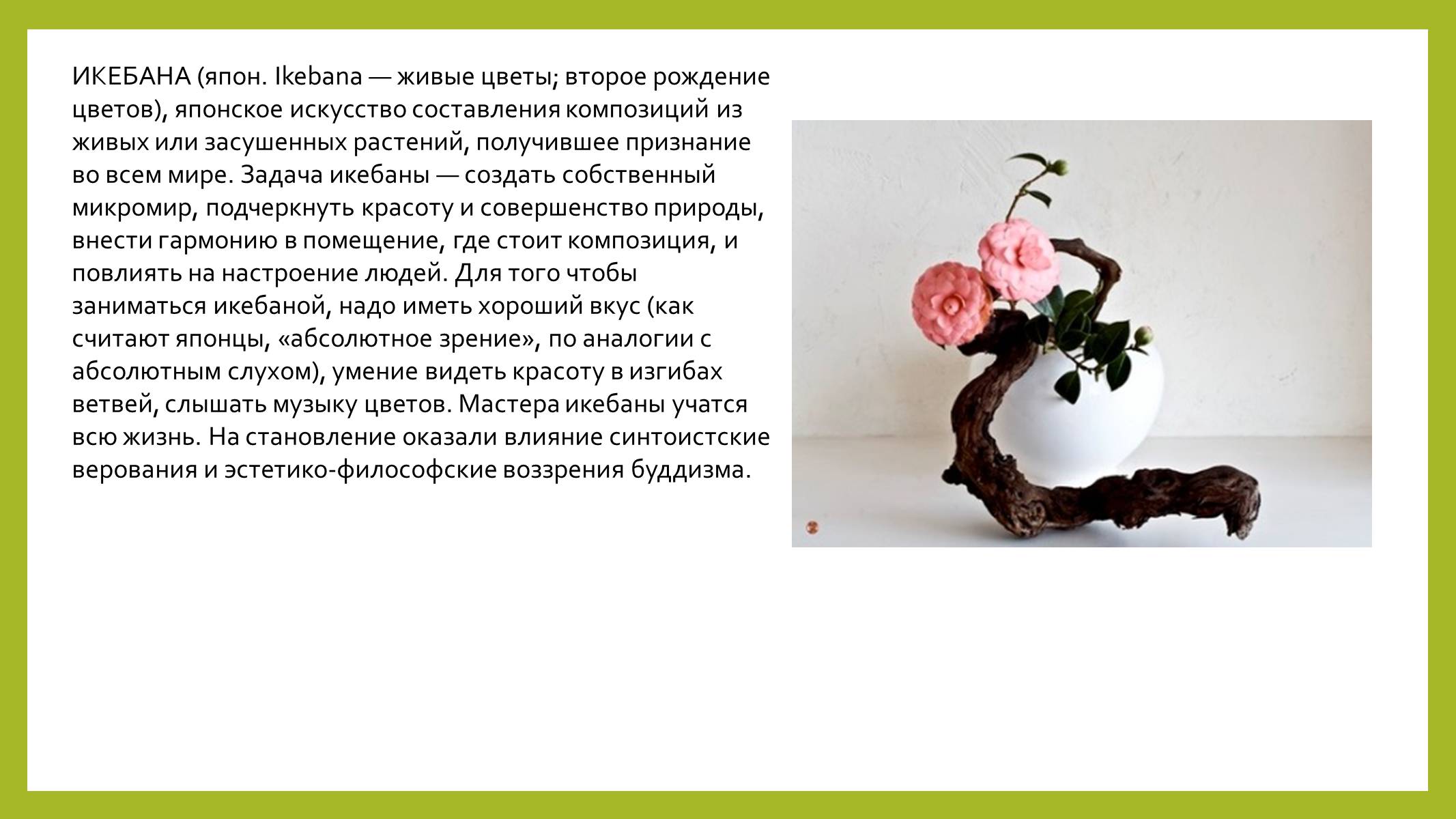 Презентація на тему «Парковая культура» - Слайд #17 Презентація на тему «Парковая культура» - Слайд #17