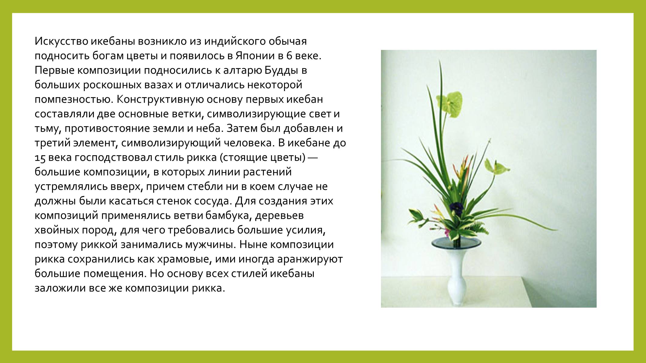 Презентація на тему «Парковая культура» - Слайд #18 Презентація на тему «Парковая культура» - Слайд #18