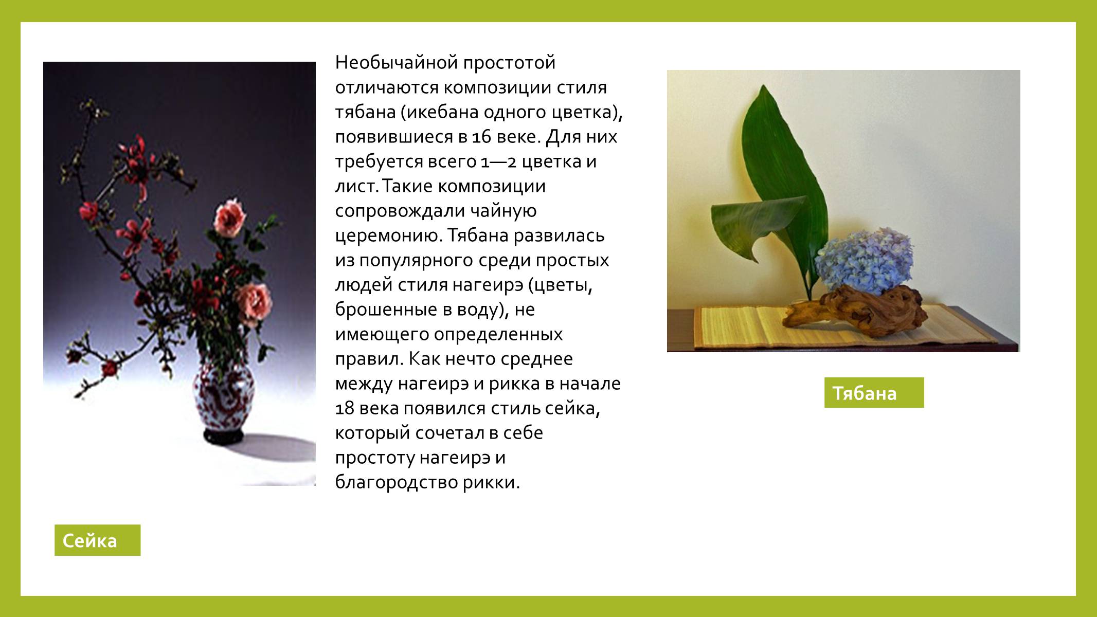 Презентація на тему «Парковая культура» - Слайд #19 Презентація на тему «Парковая культура» - Слайд #19