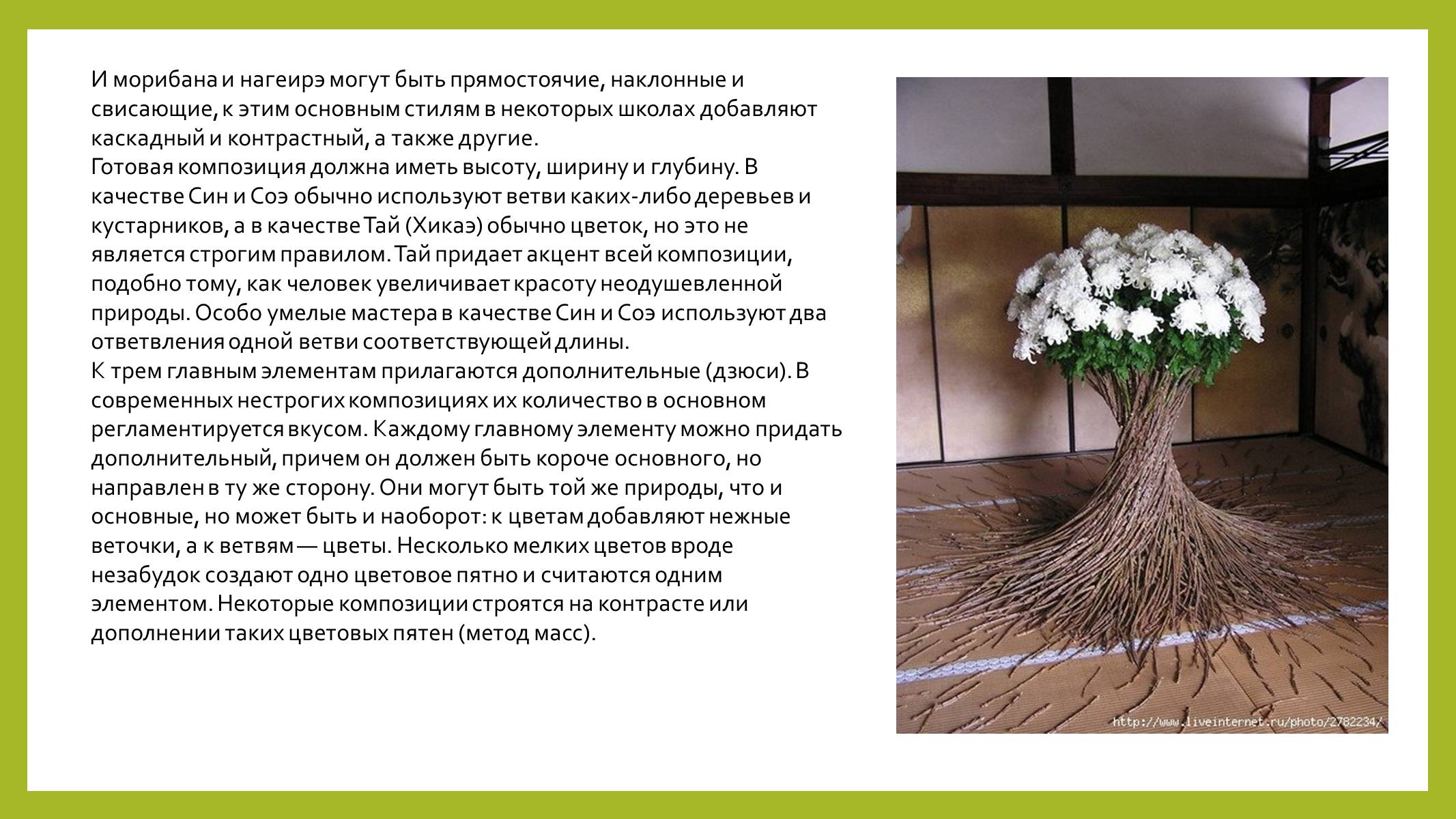 Презентація на тему «Парковая культура» - Слайд #22 Презентація на тему «Парковая культура» - Слайд #22
