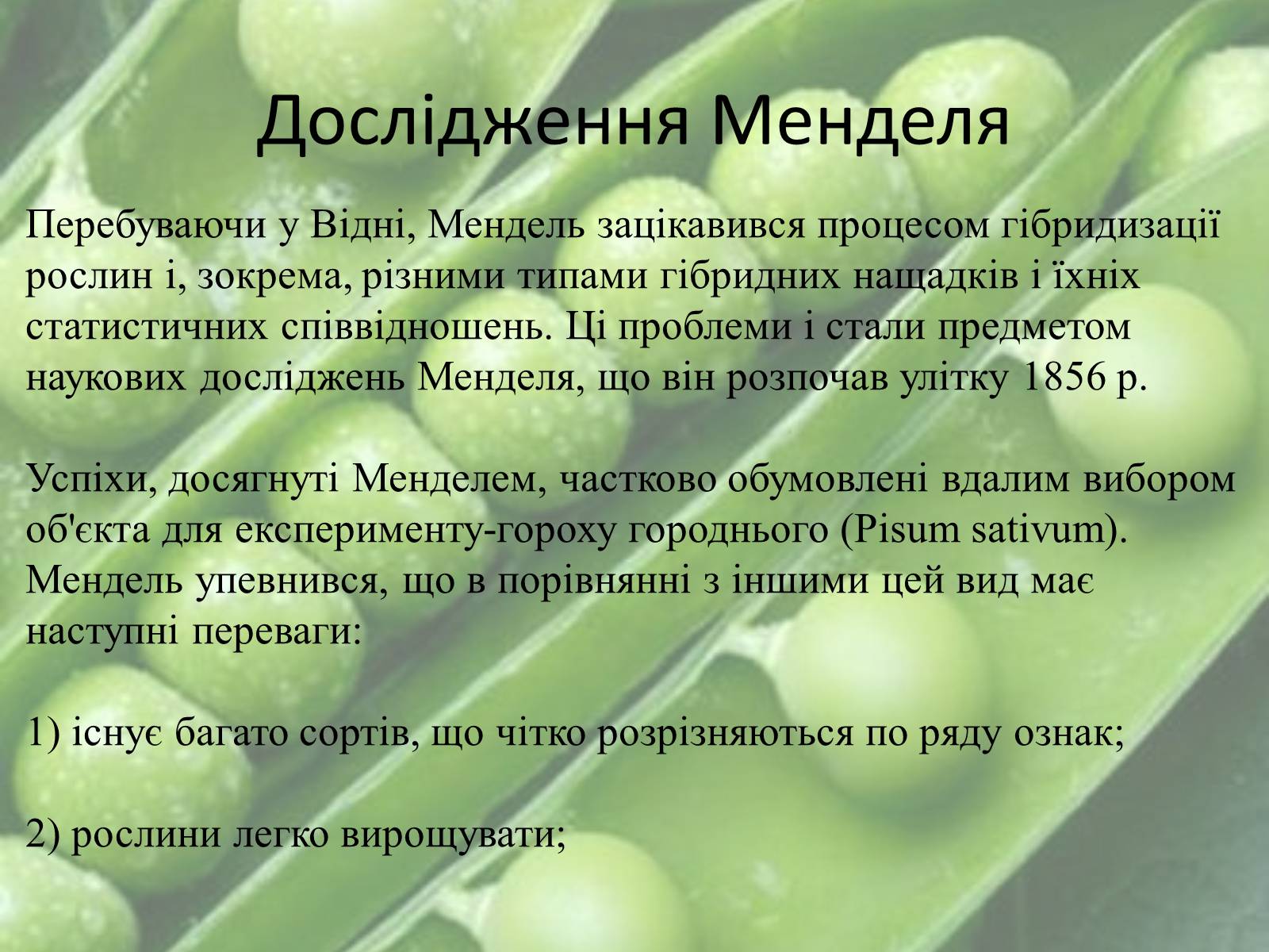 Презентація на тему «Грегор Мендель» - Слайд #3 Презентація на тему «Грегор Мендель» - Слайд #3
