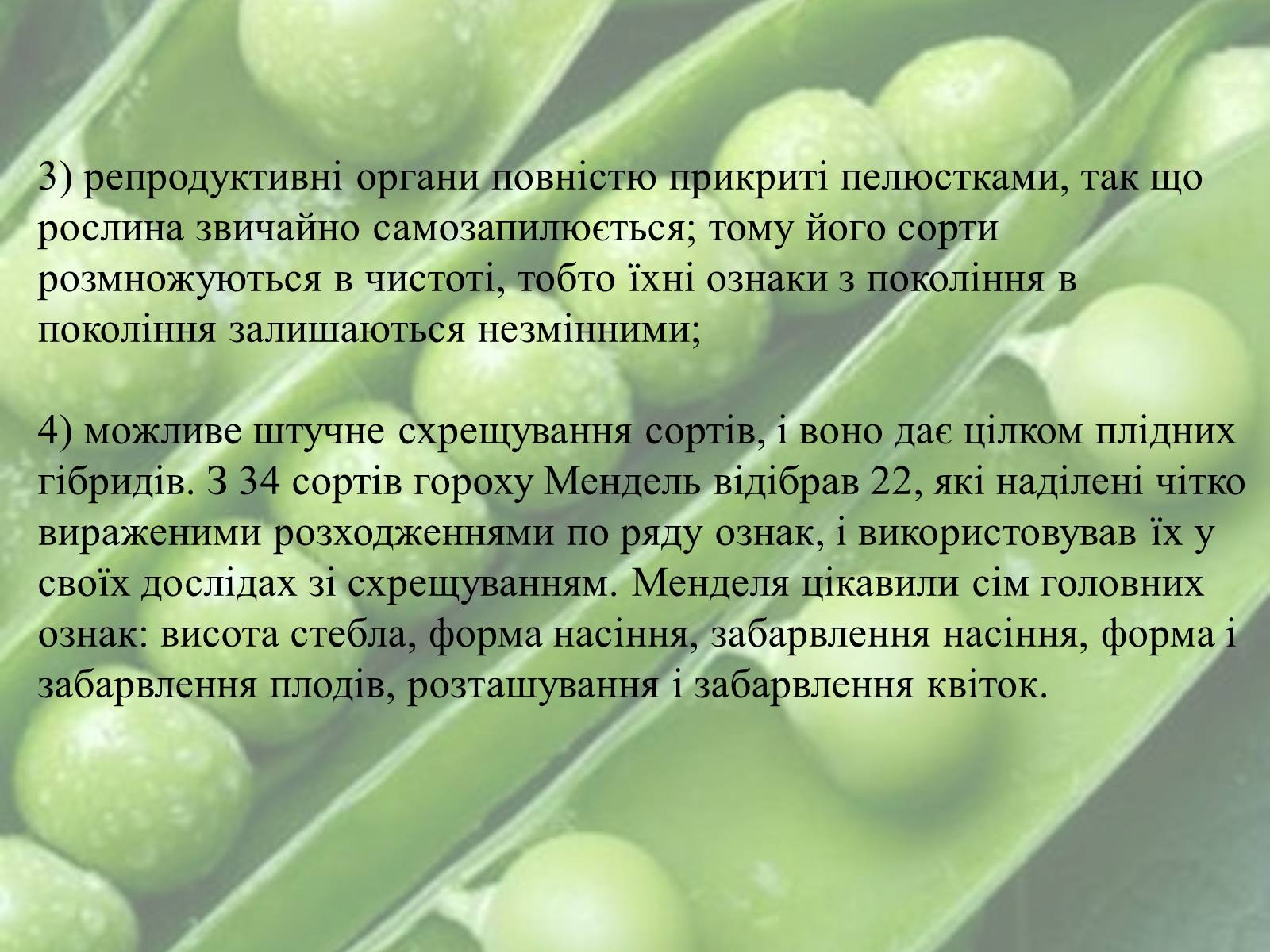 Презентація на тему «Грегор Мендель» - Слайд #4 Презентація на тему «Грегор Мендель» - Слайд #4