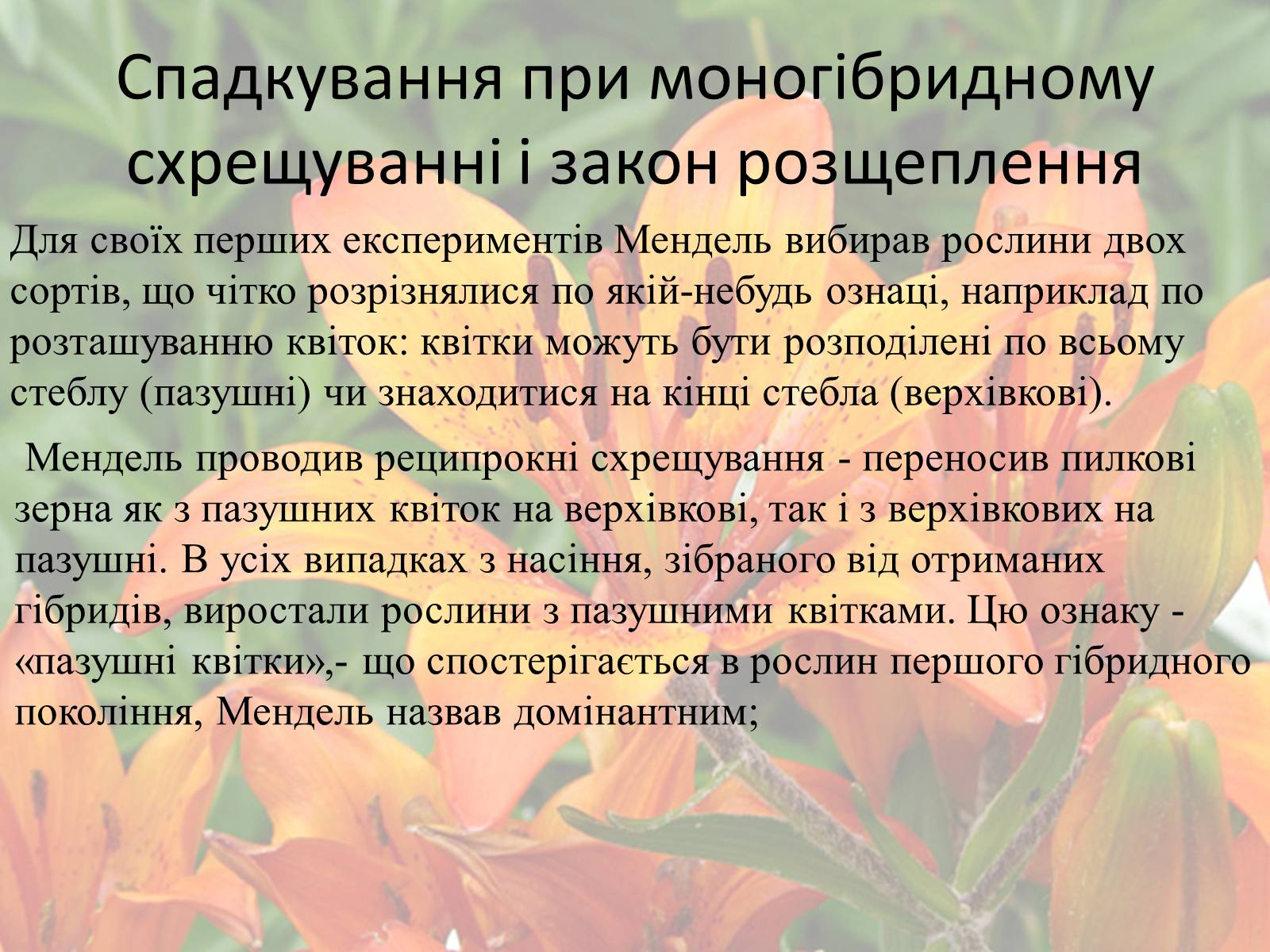 Презентація на тему «Грегор Мендель» - Слайд #7 Презентація на тему «Грегор Мендель» - Слайд #7