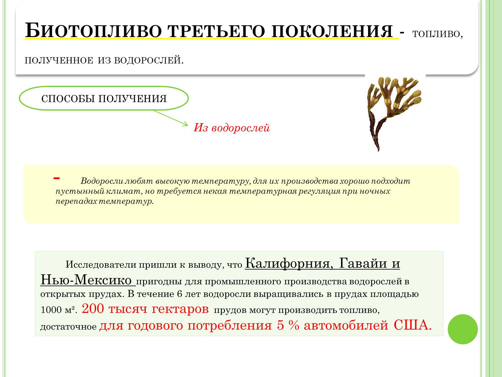 Презентація на тему «Биотопливо» - Слайд #8 Презентація на тему «Биотопливо» - Слайд #8