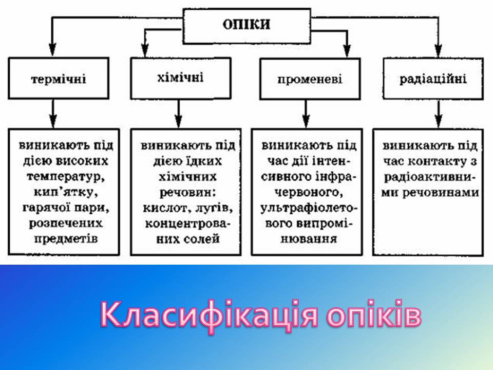 Презентація на тему «Опіки» (варіант 13) - Слайд #3 Презентація на тему «Опіки» (варіант 13) - Слайд #3