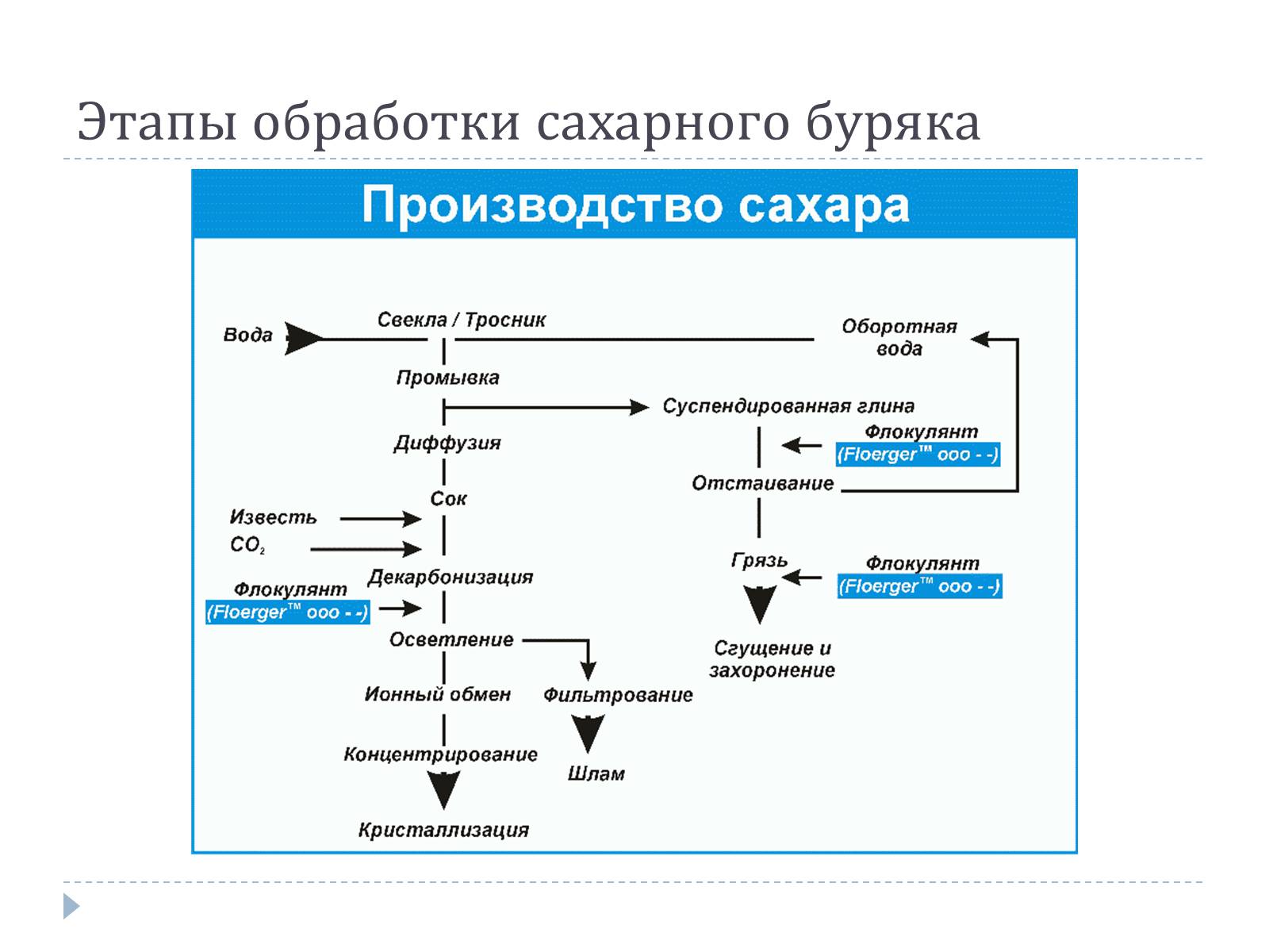 Презентація на тему «Технология изготовления сахара» - Слайд #4