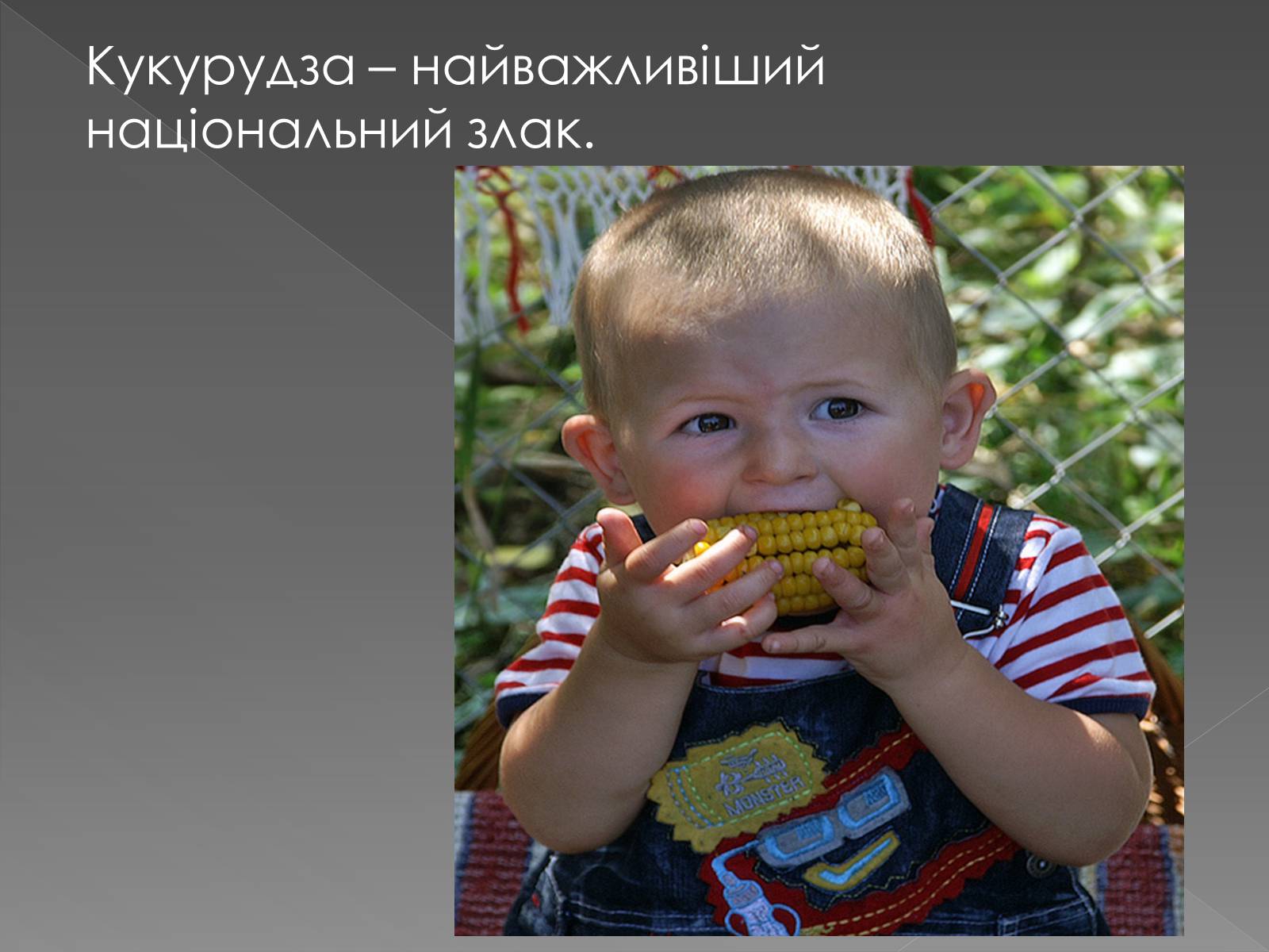 Презентація на тему «Кухня країн америки» - Слайд #9 Презентація на тему «Кухня країн америки» - Слайд #9